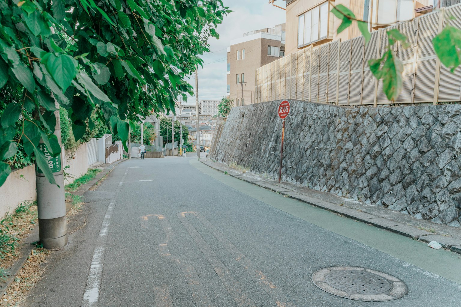 Scène de rue tranquille entourée d'arbres verts