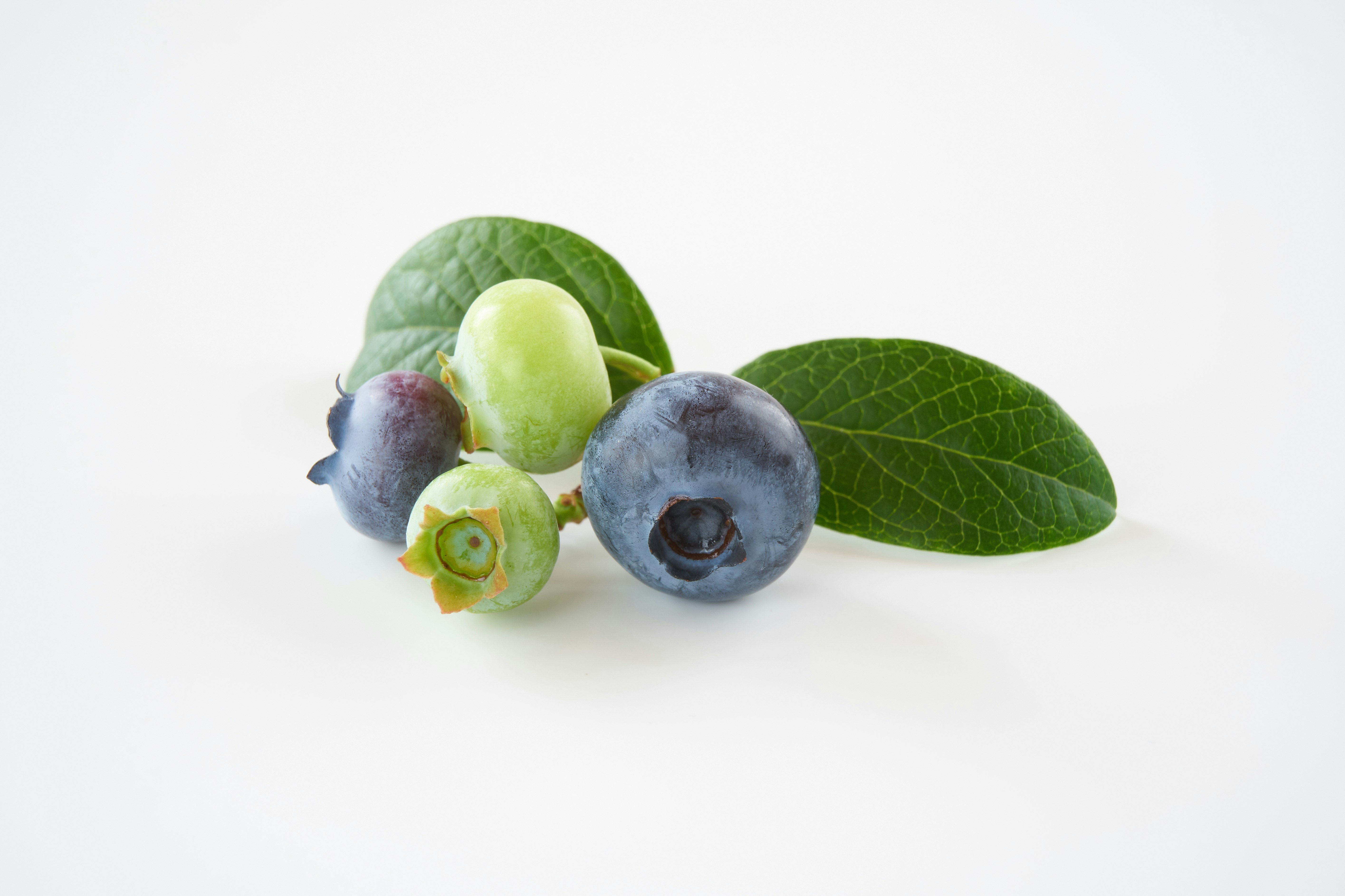 ブルーベリーとグリーンの実、葉のある静物