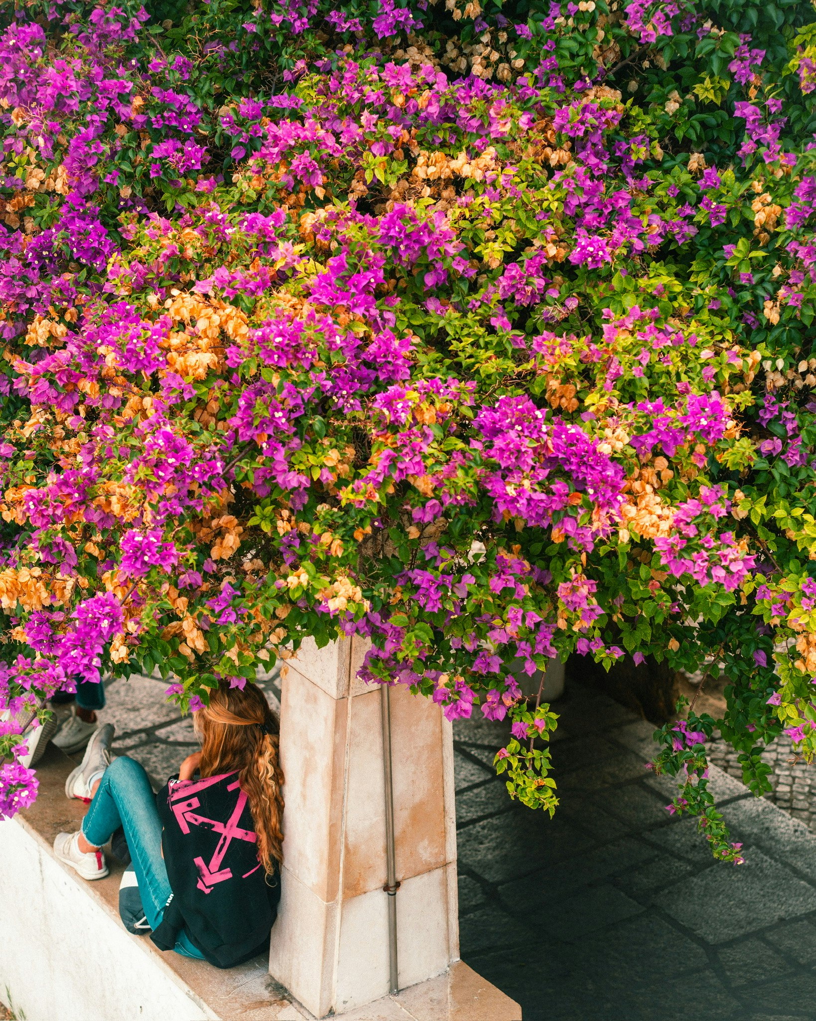 Lisbon alley flowers in planters with a woman