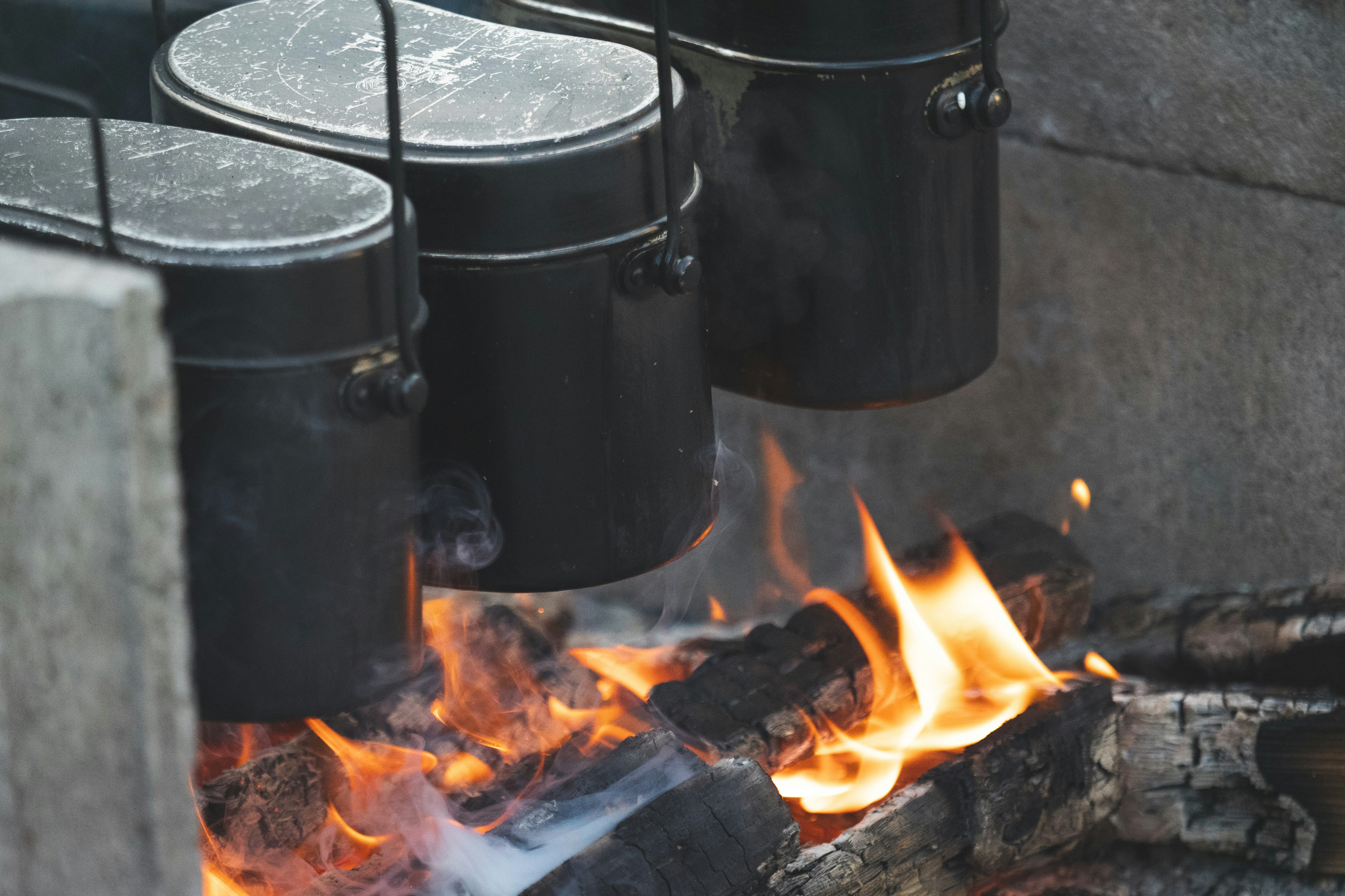 campfire flames and burning logs in a fire pit