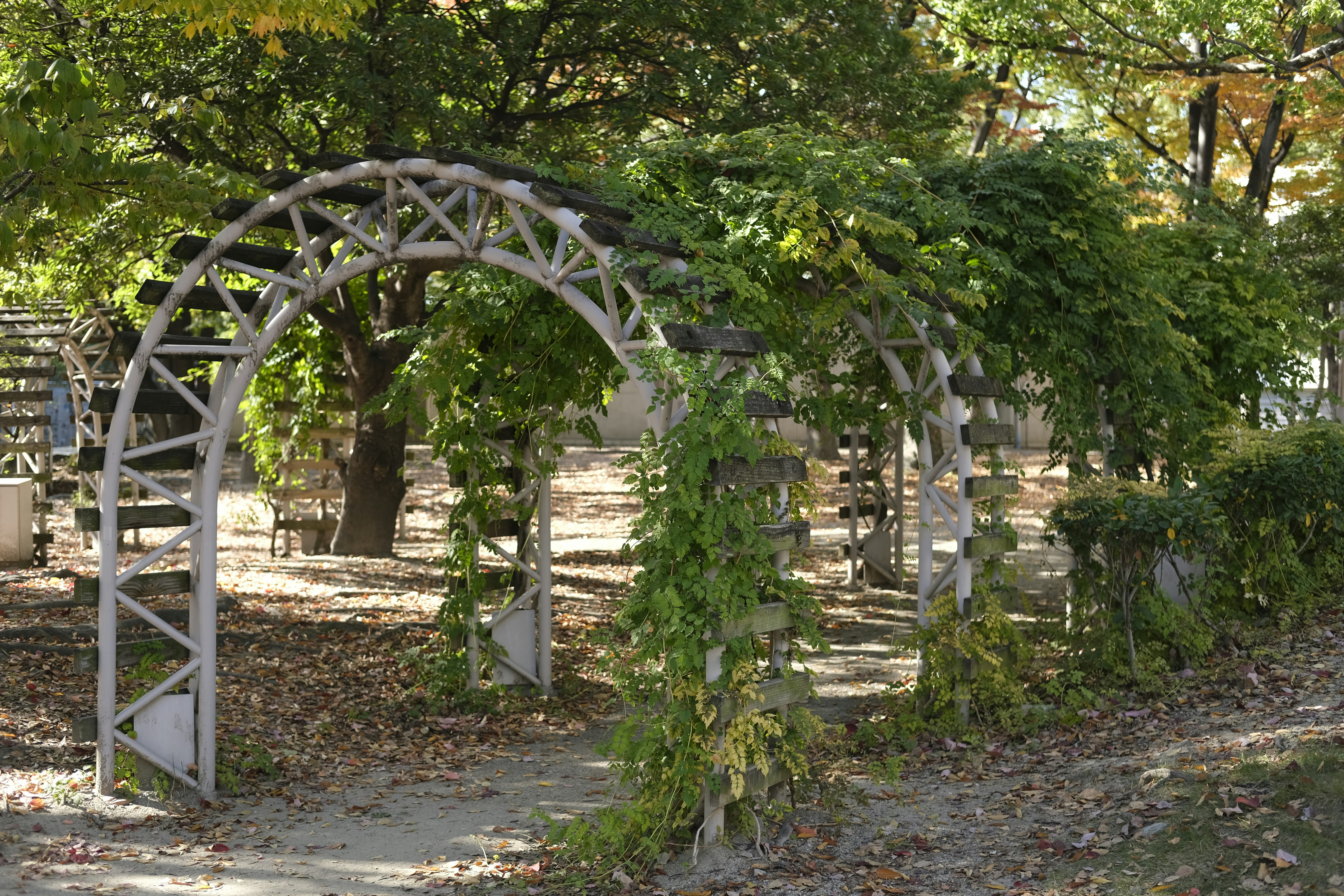 garden walkway with stonework and an arched gate among trees