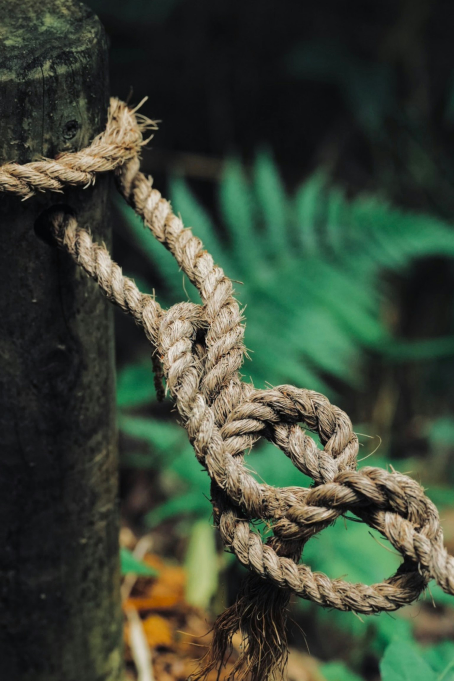 photo-eAniFA3PO88HN83jTFU1-image