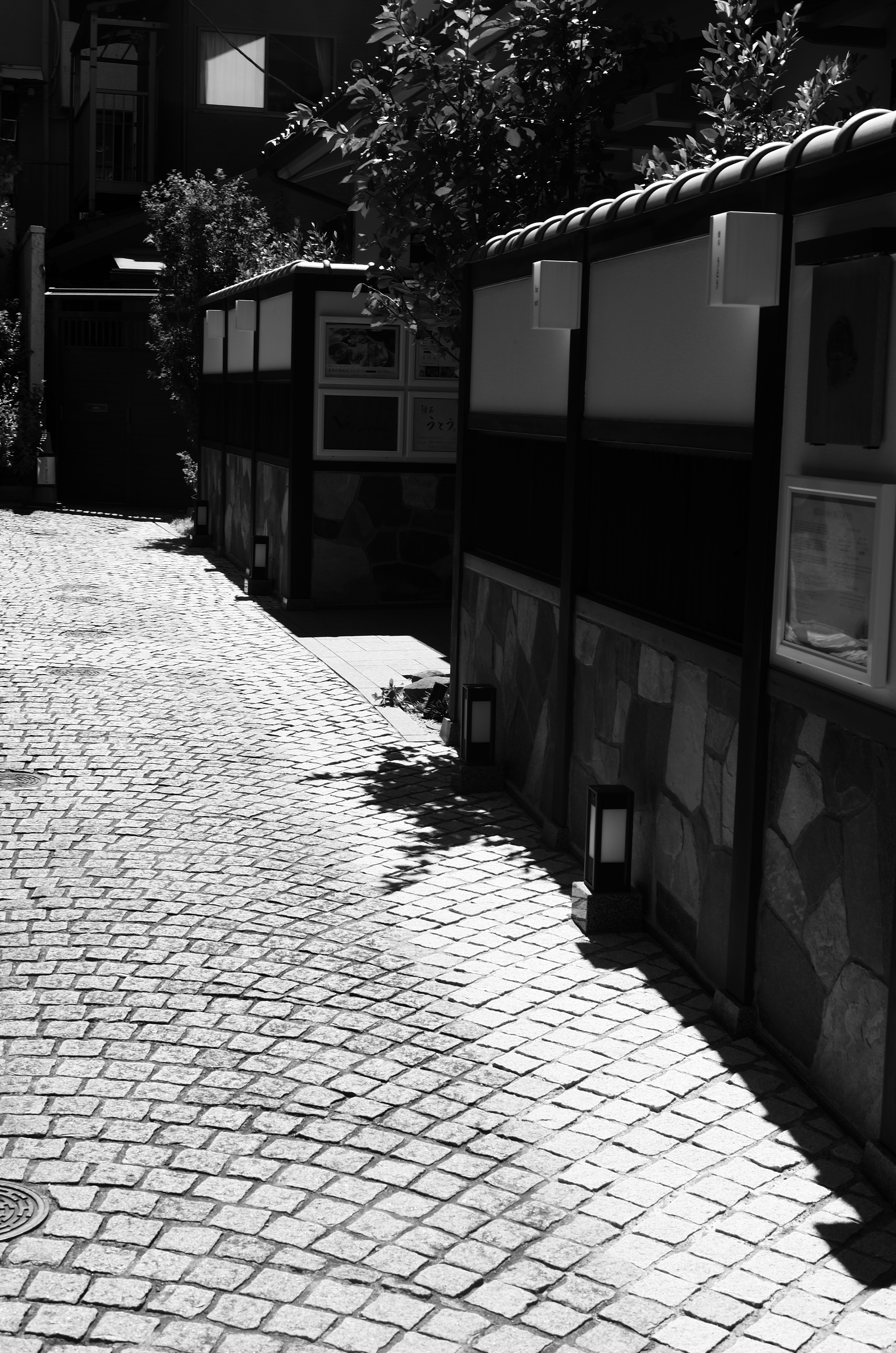 Vista en blanco y negro de un camino estrecho con edificios tradicionales y adoquines