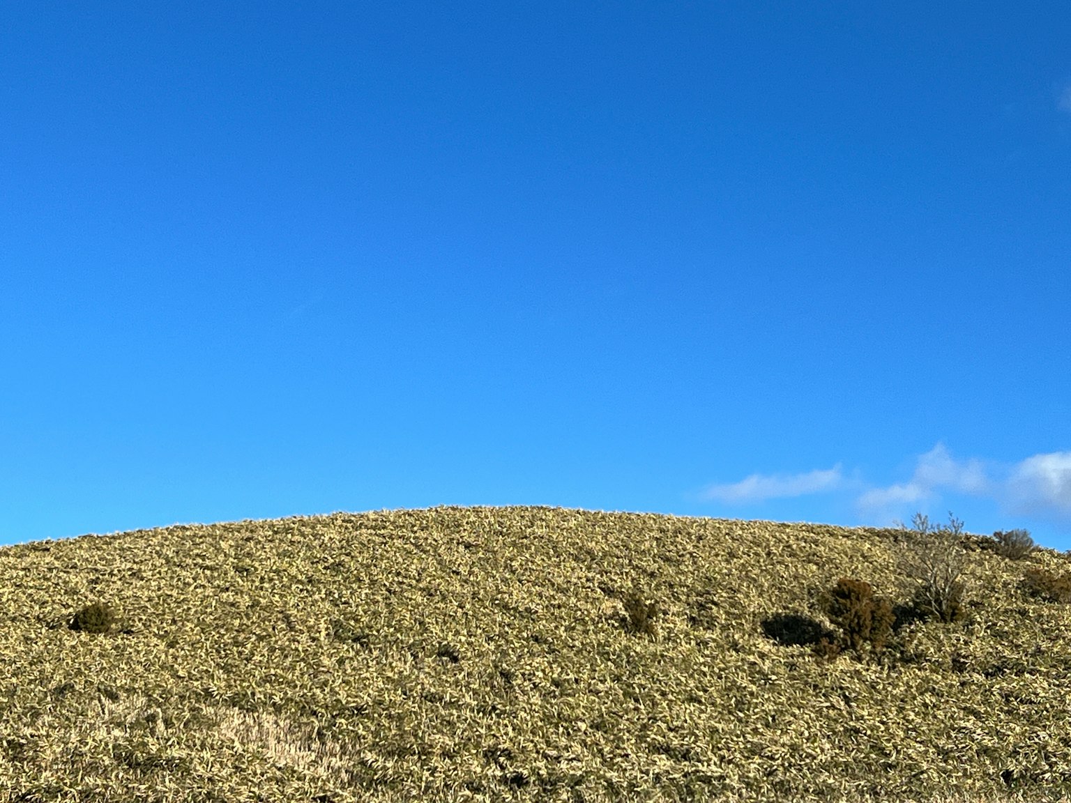 Paisaje de una colina con hierba bajo un cielo azul claro