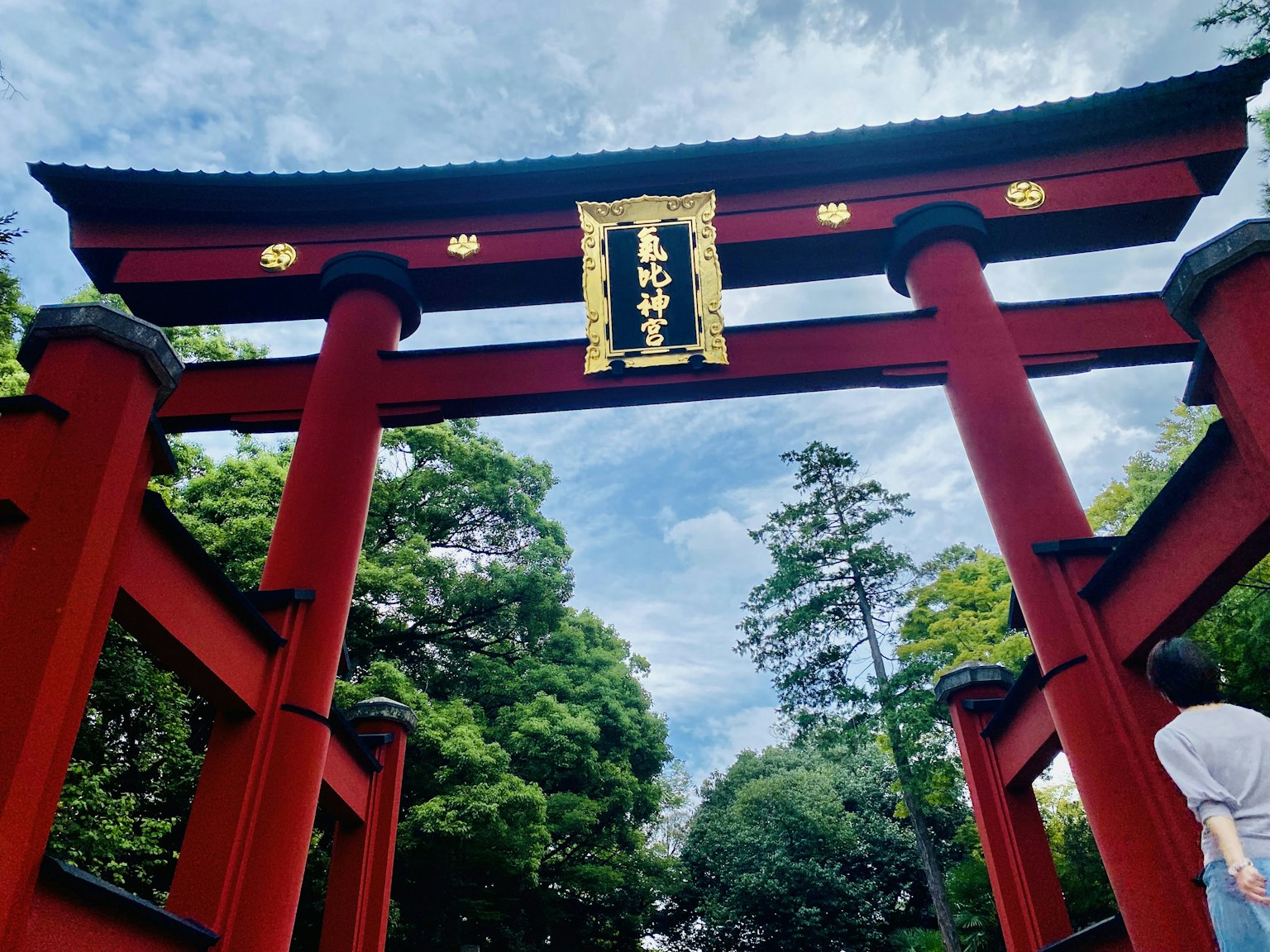 Cổng torii đỏ bao quanh bởi cây xanh tươi tốt