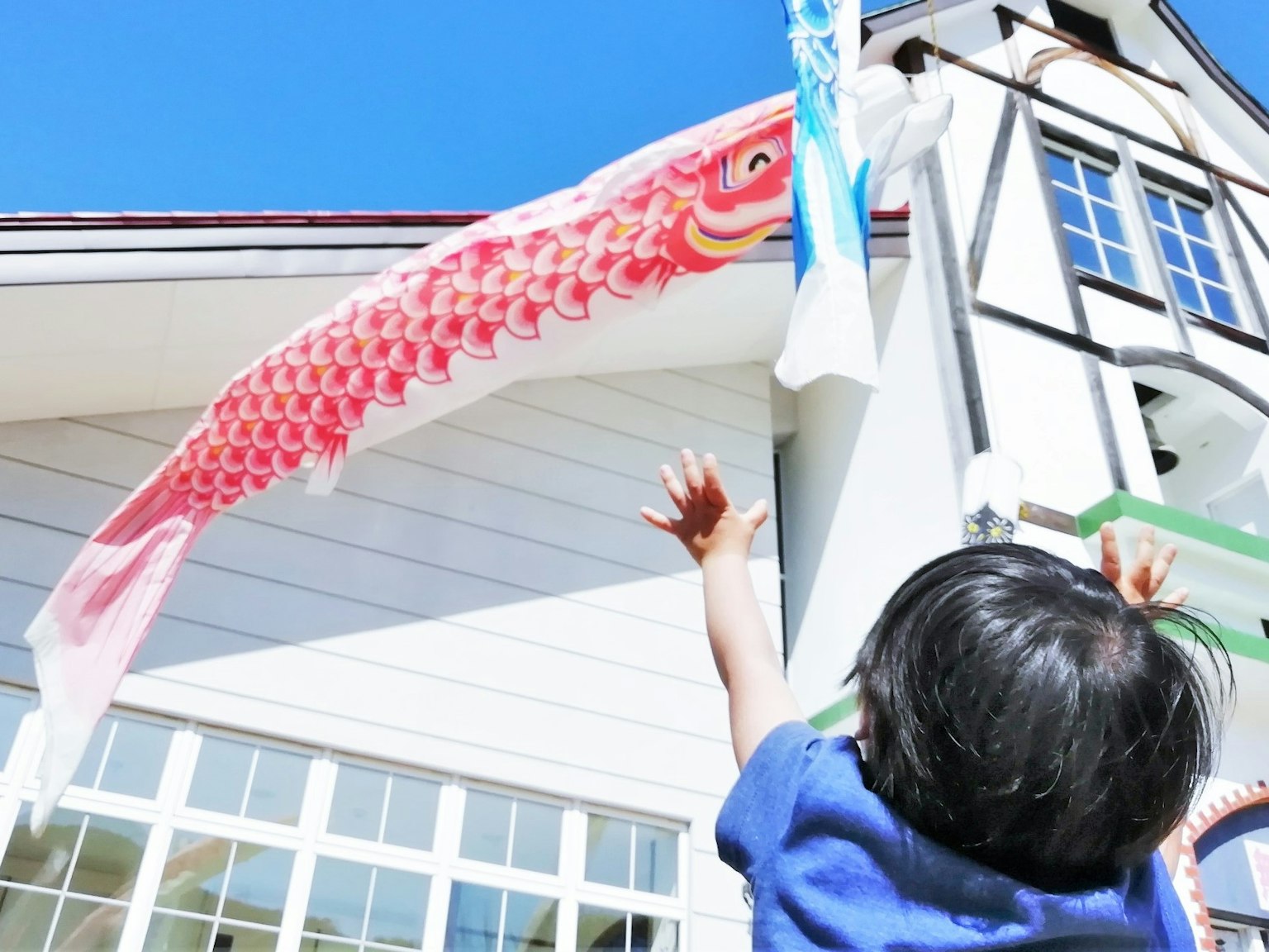 Enfant tendant la main vers un koi nobori coloré par une journée ensoleillée de printemps