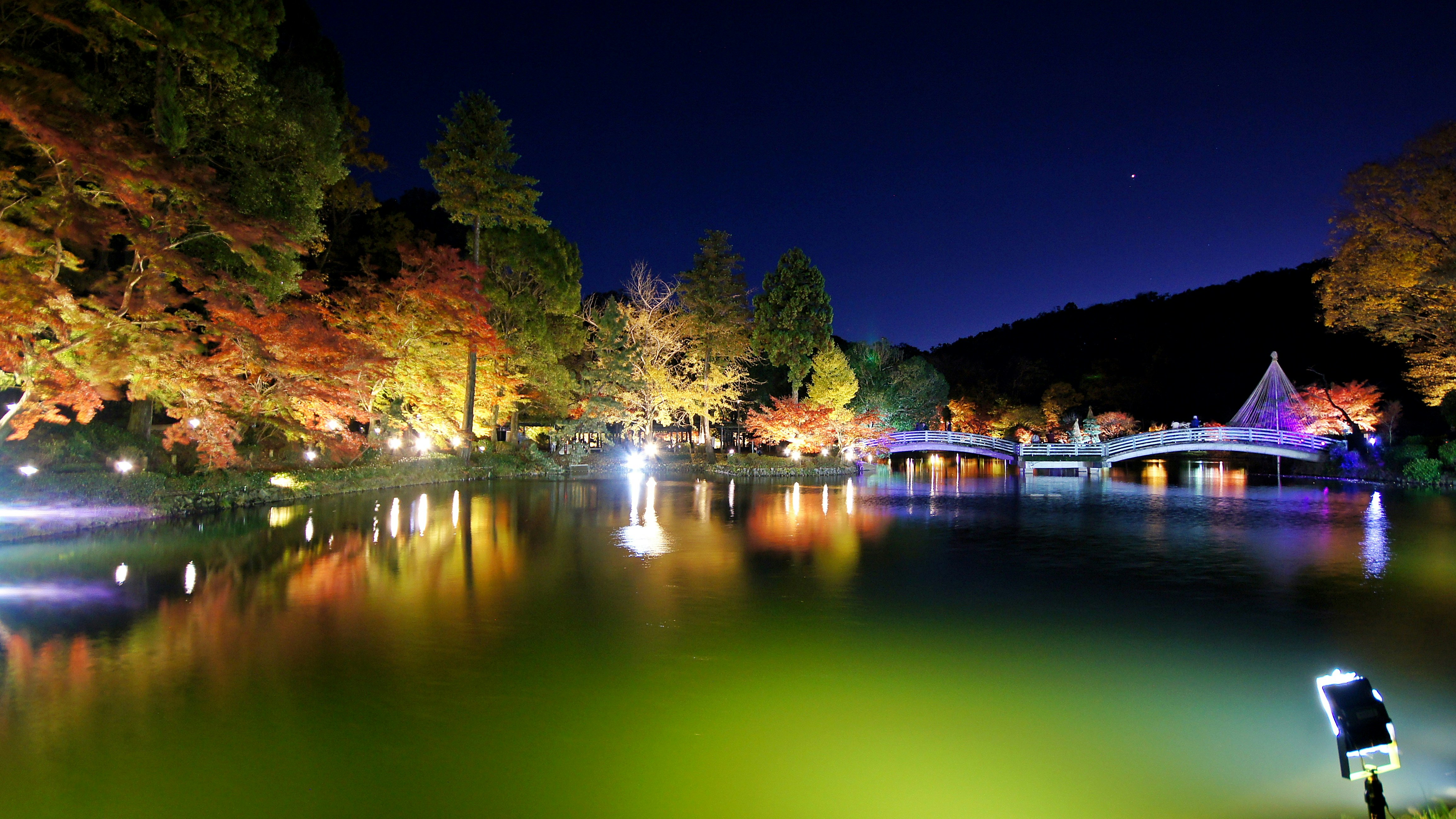 紅葉がライトアップされた薬師池公園の池畔の夜景