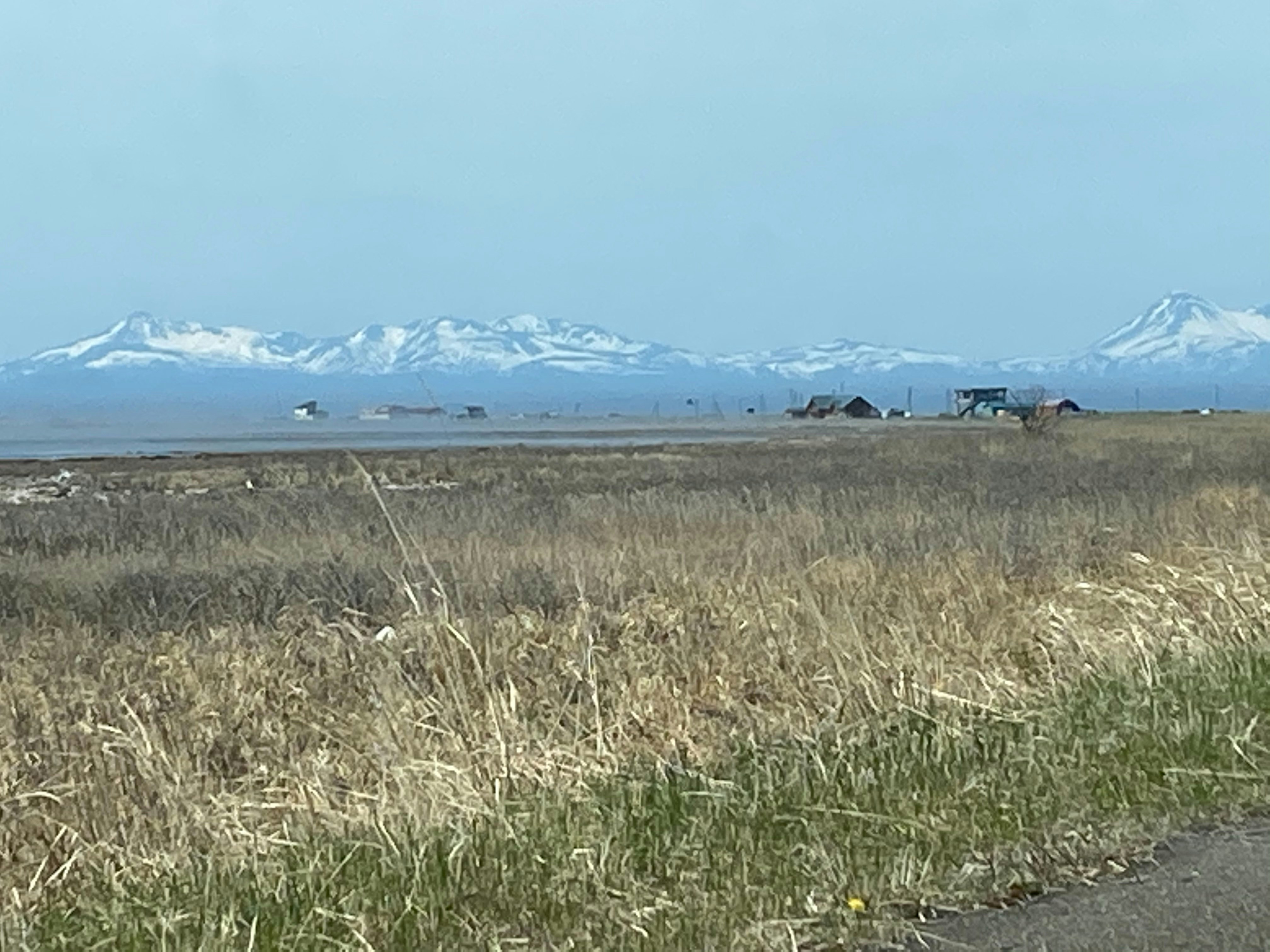 草原の向こうに雪をかぶった山並みが広がる風景