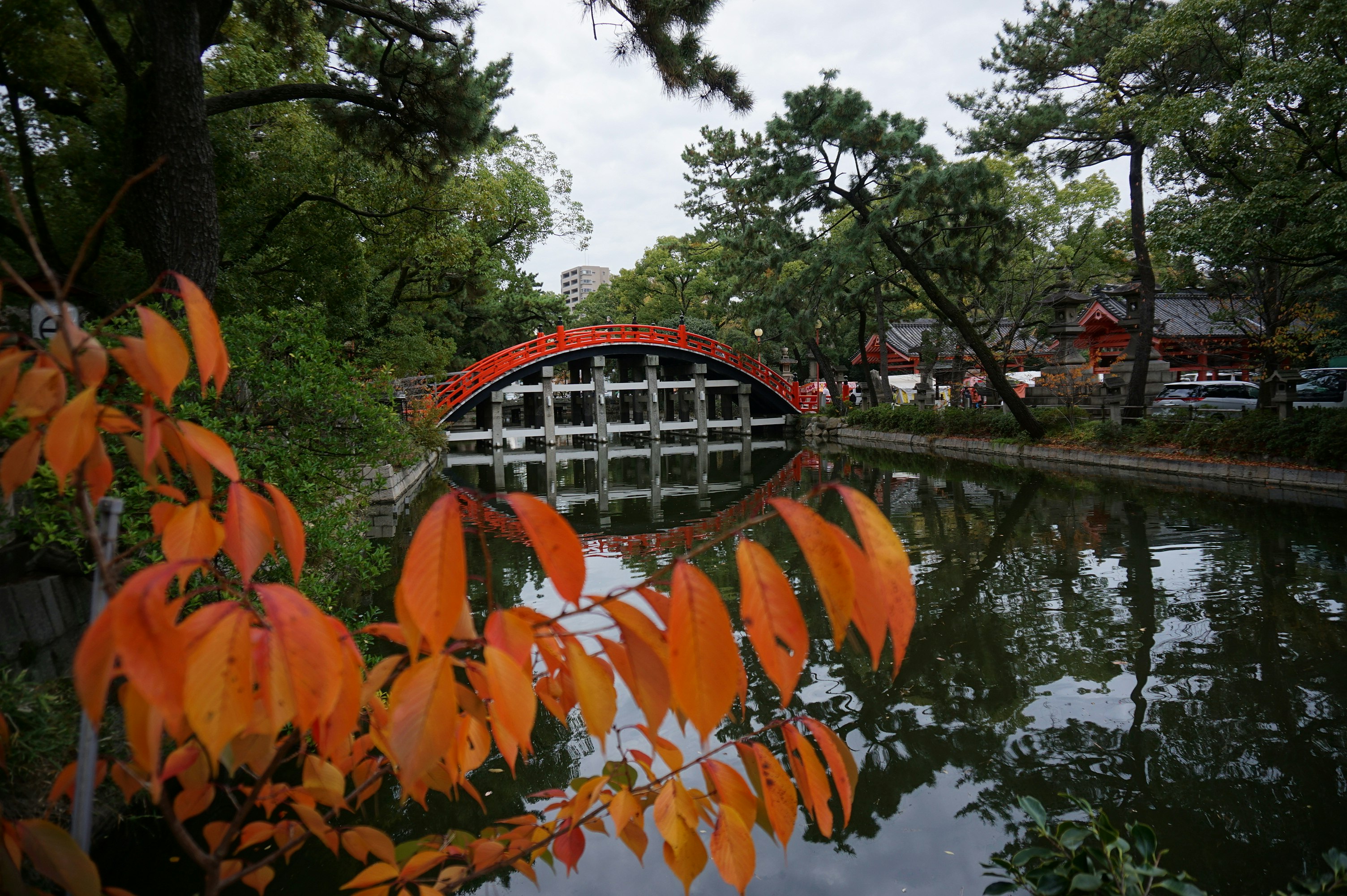 Escena de parque con estanque, hojas naranjas y árboles