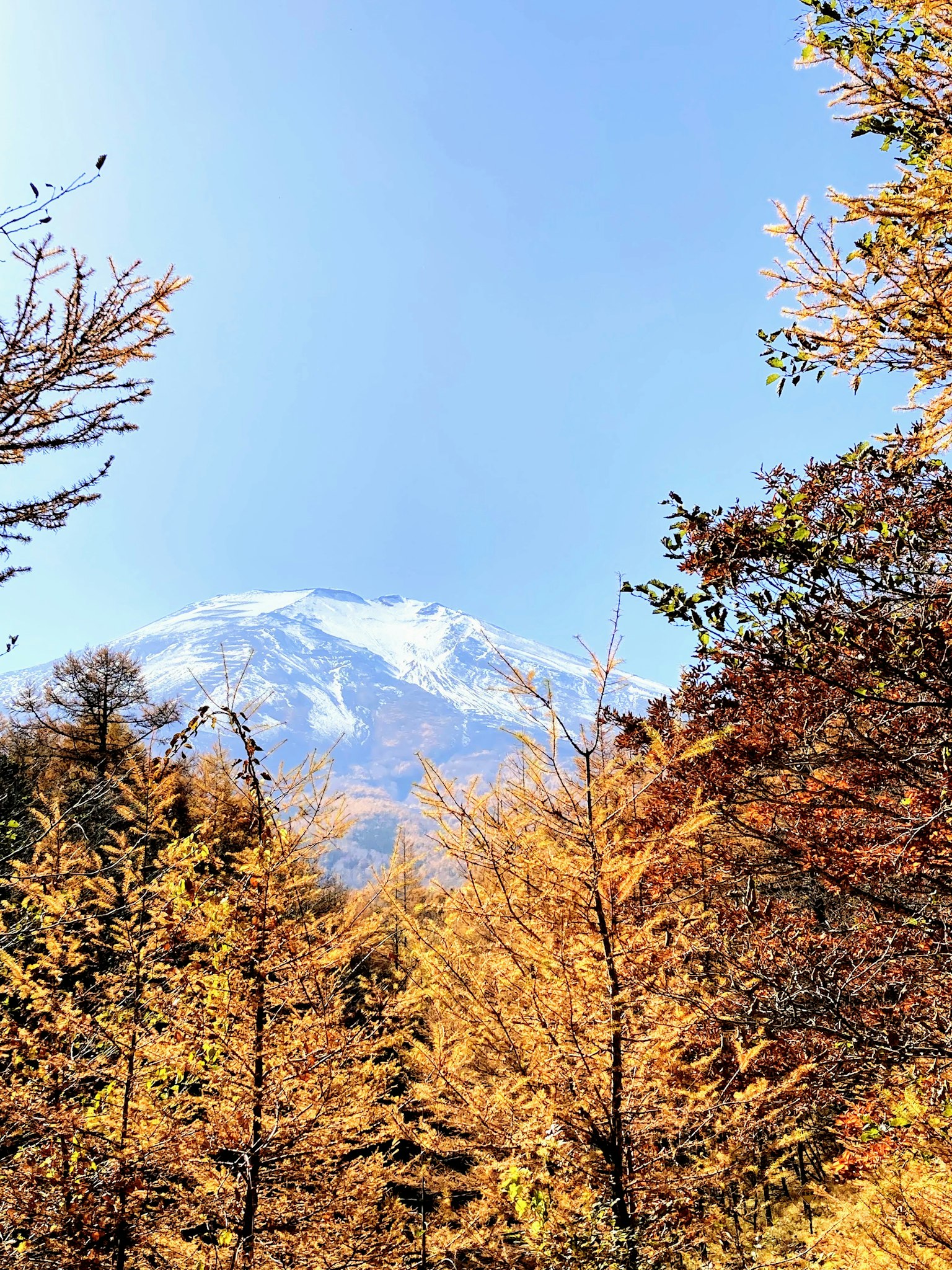 Montagna innevata con fogliame autunnale