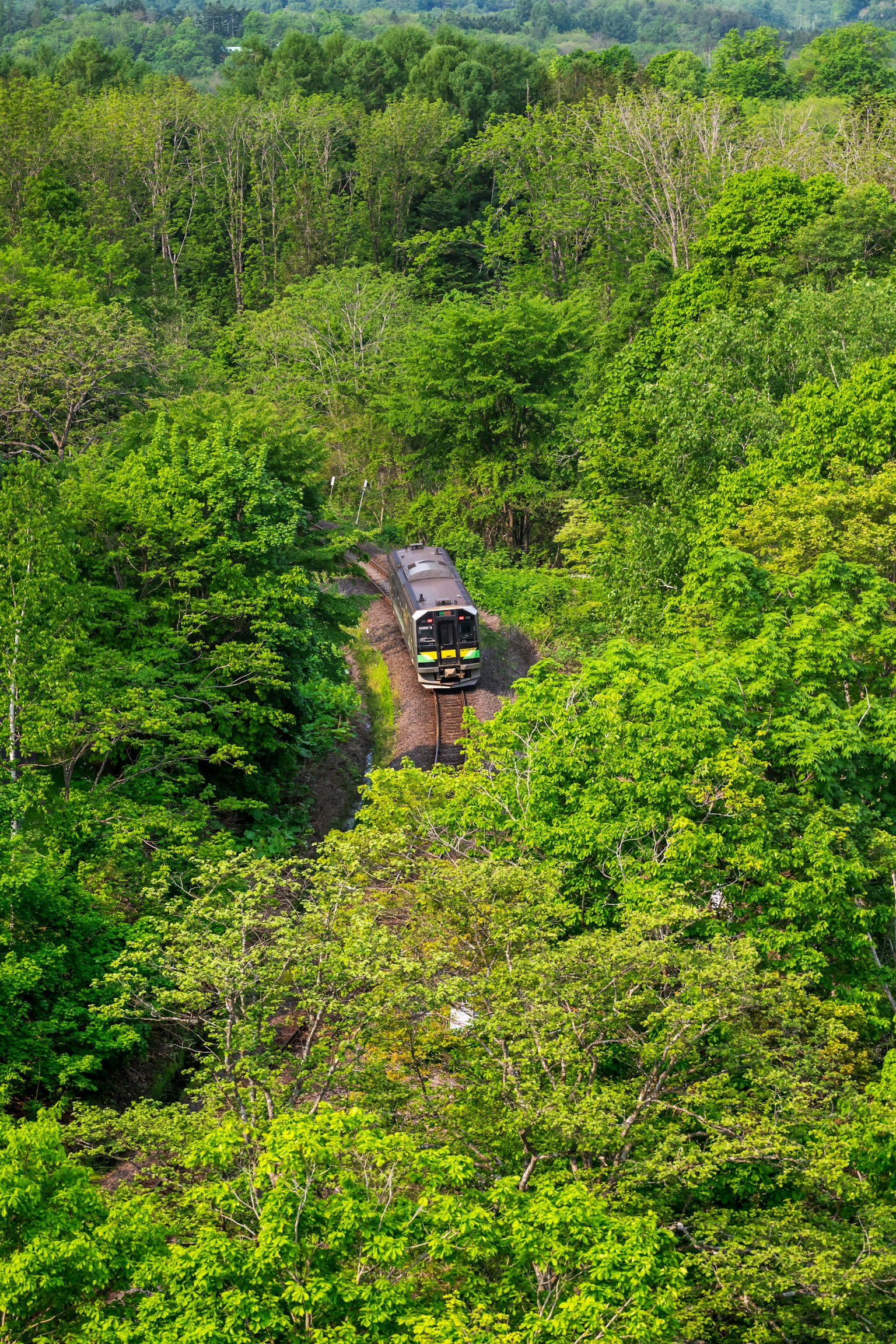 photo-eCq1eV7G3FtPr6gbiRr4-image