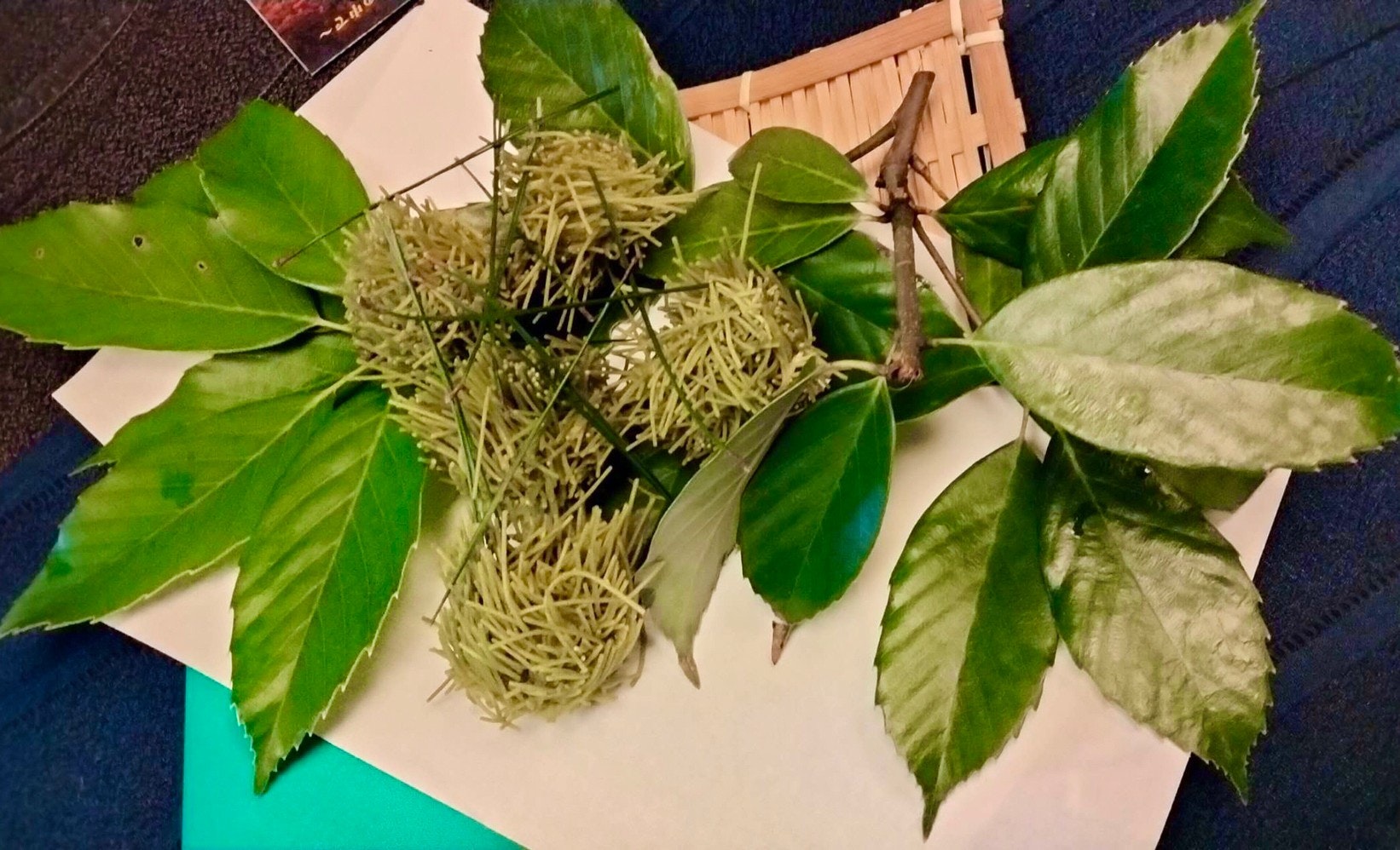 葉と花束のように束ねた草のあるテーブル上の静物