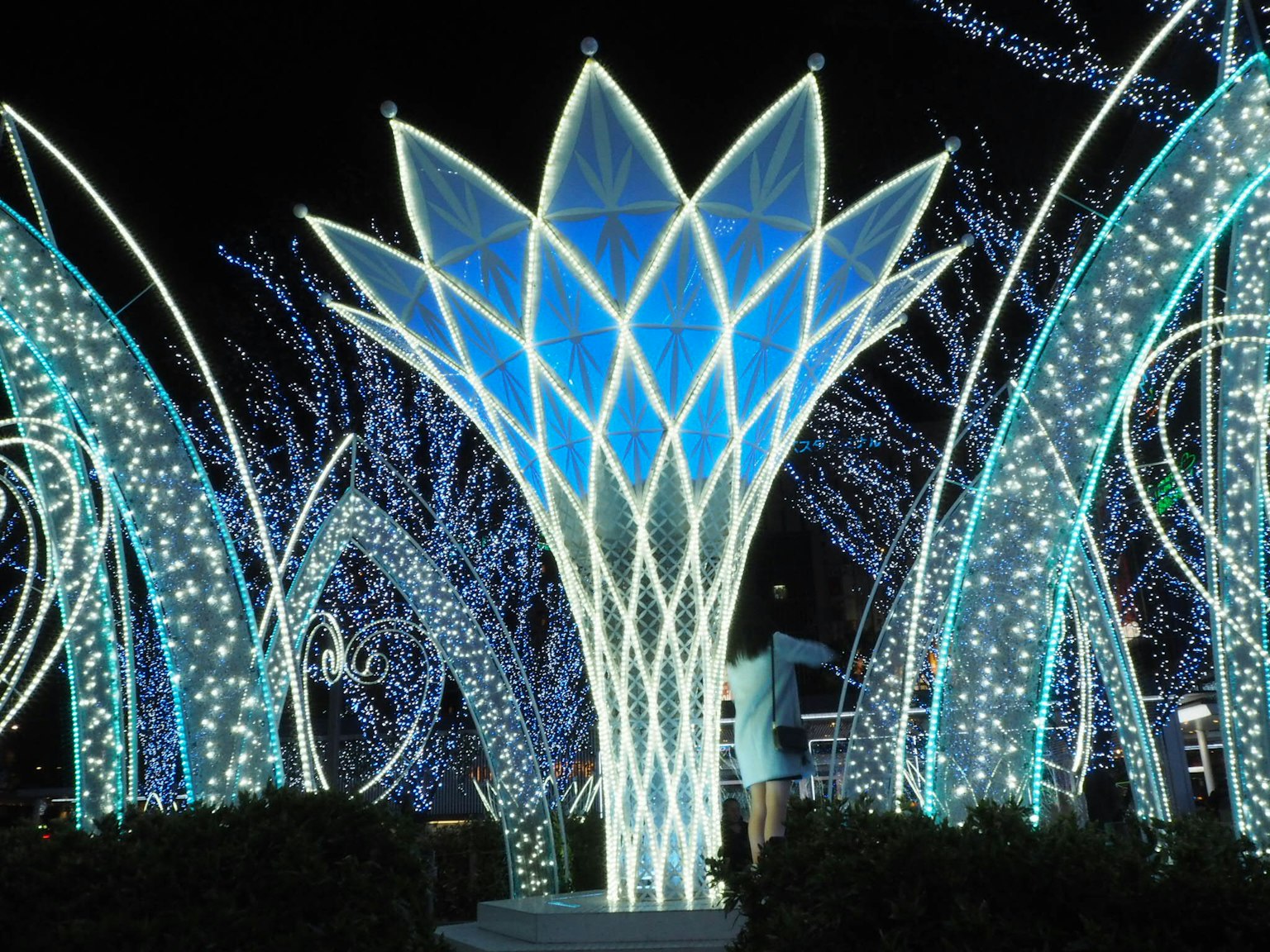 โครงสร้างรูปดอกไม้ที่มีแสงสีน้ำเงินประดับอยู่รอบๆ โดยมีการตกแต่งที่เปล่งประกายในตอนกลางคืน