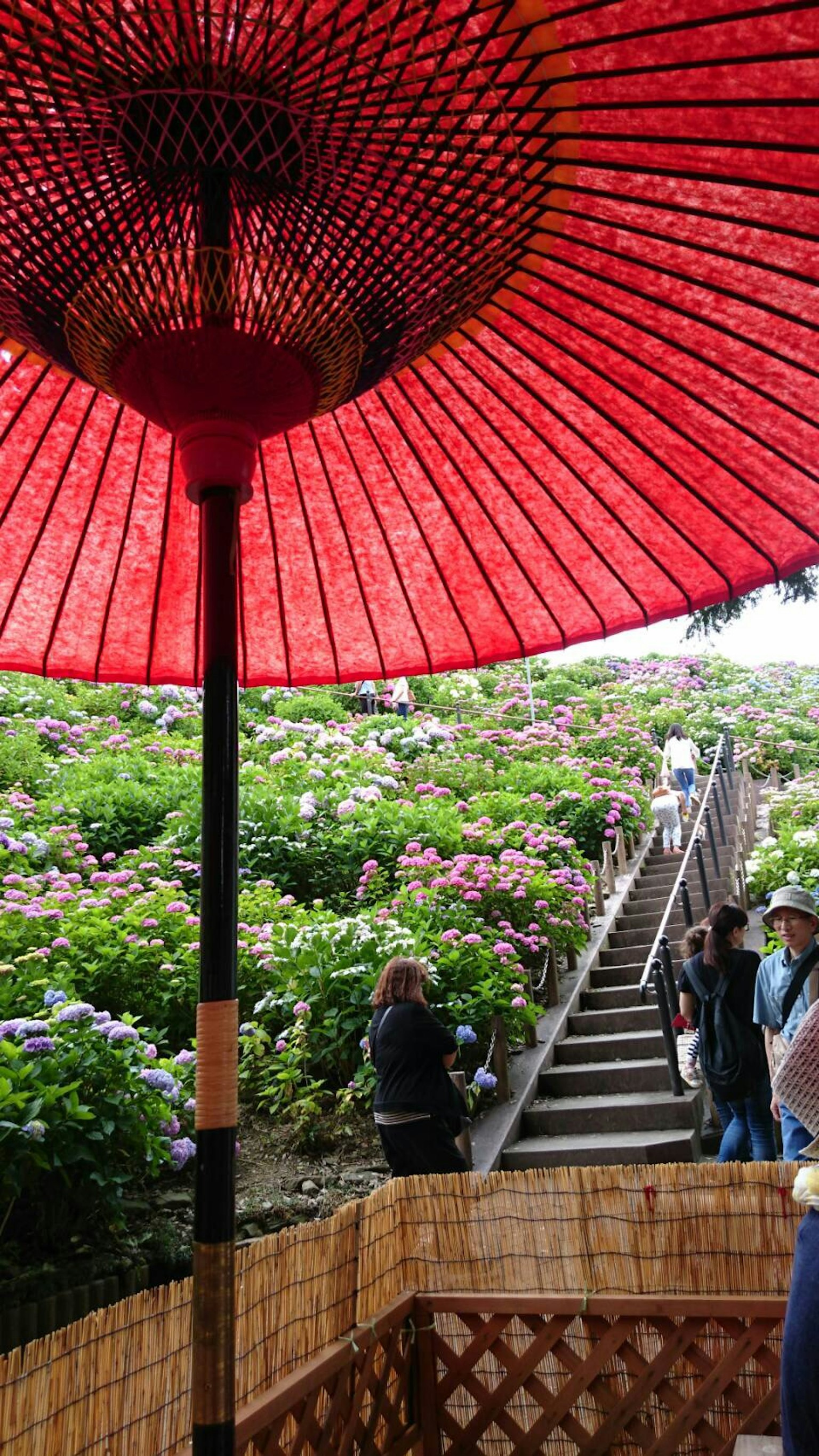 Blick auf Treppen und Blumen von unter einem roten Regenschirm