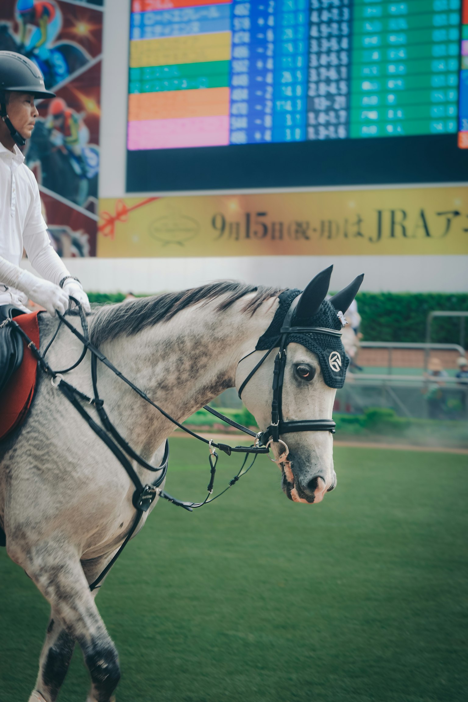 A rider on a gray horse in an arena with a colorful scoreboard in the background