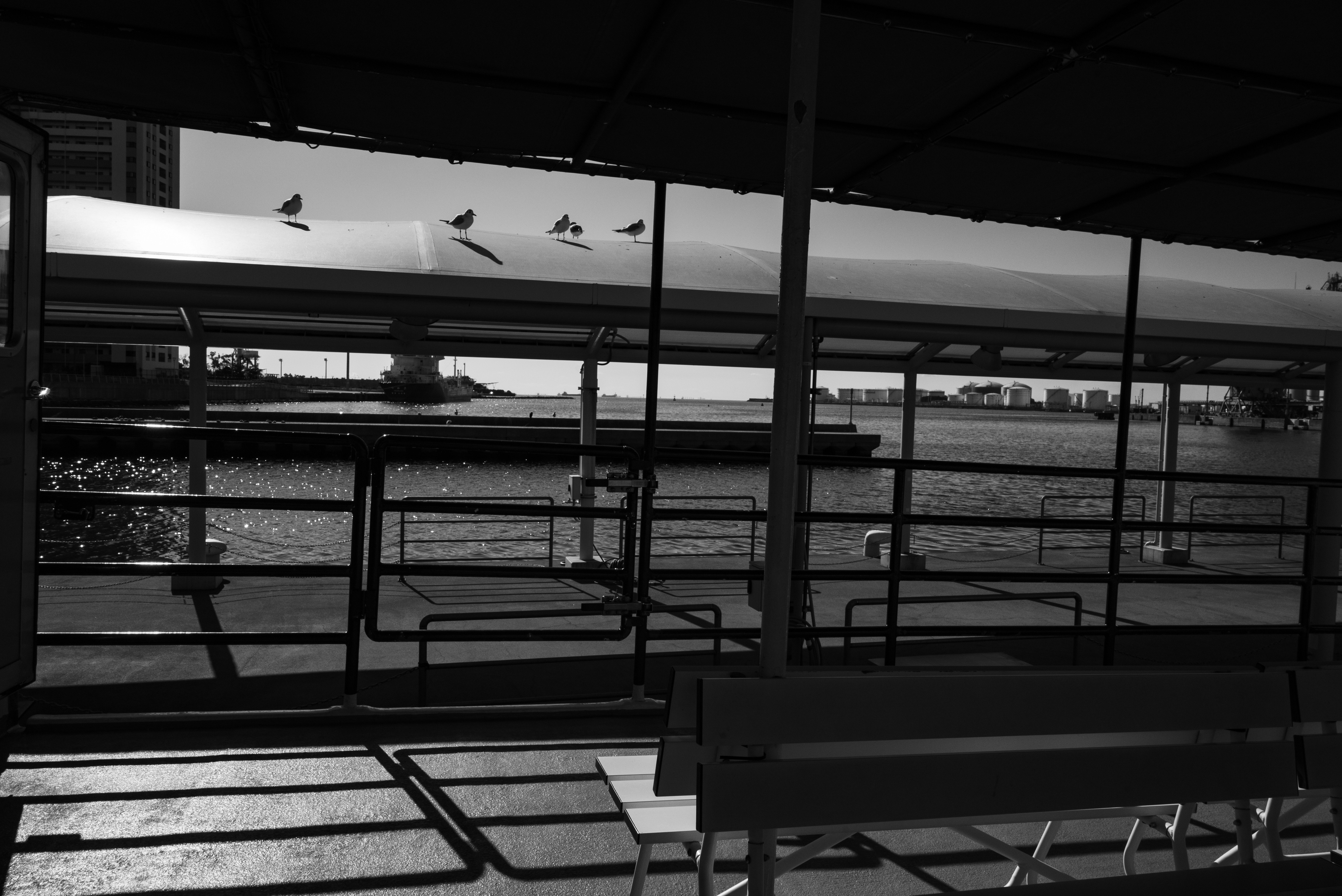photo-eDTPgjKNZx2IyzS06NaS