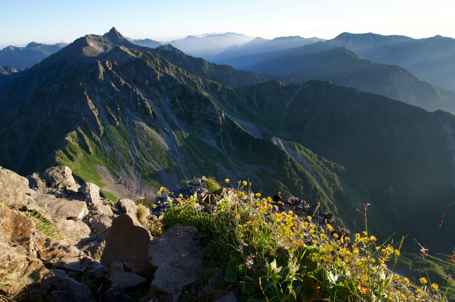 Vista escénica desde la cima de una montaña con montañas verdes y flores en flor