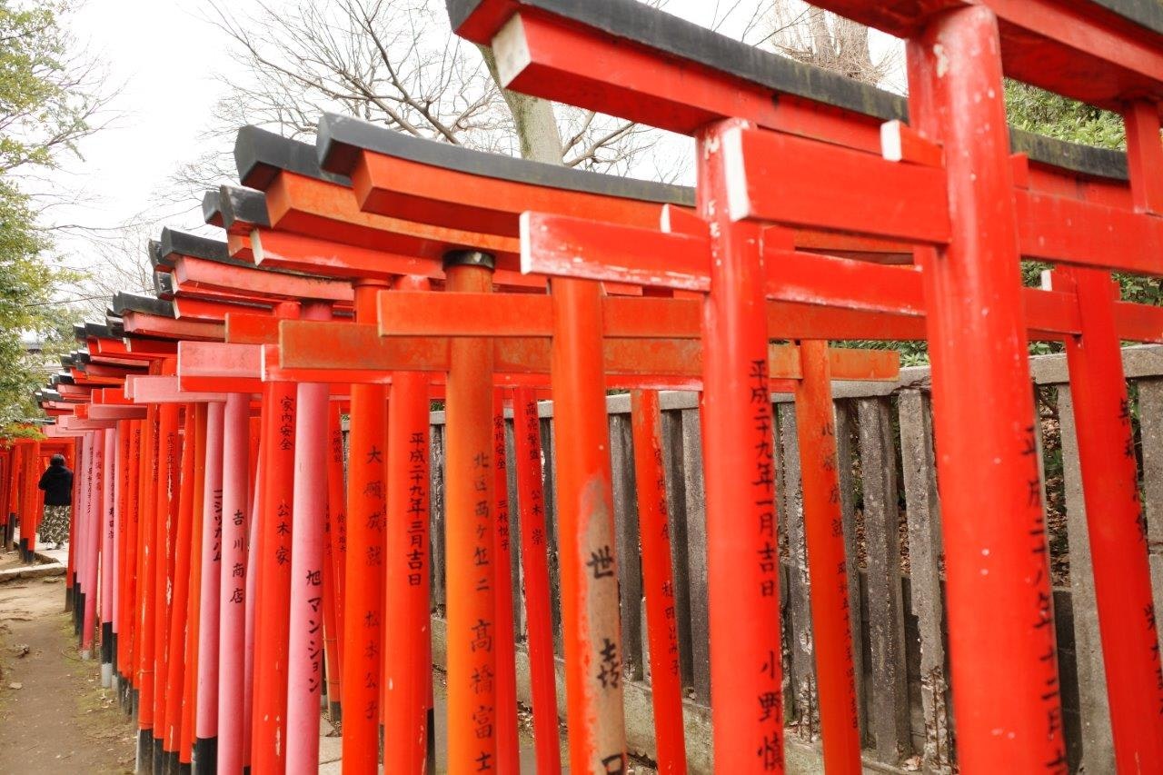 Une rangée de torii vermillon le long d’une allée de sanctuaire