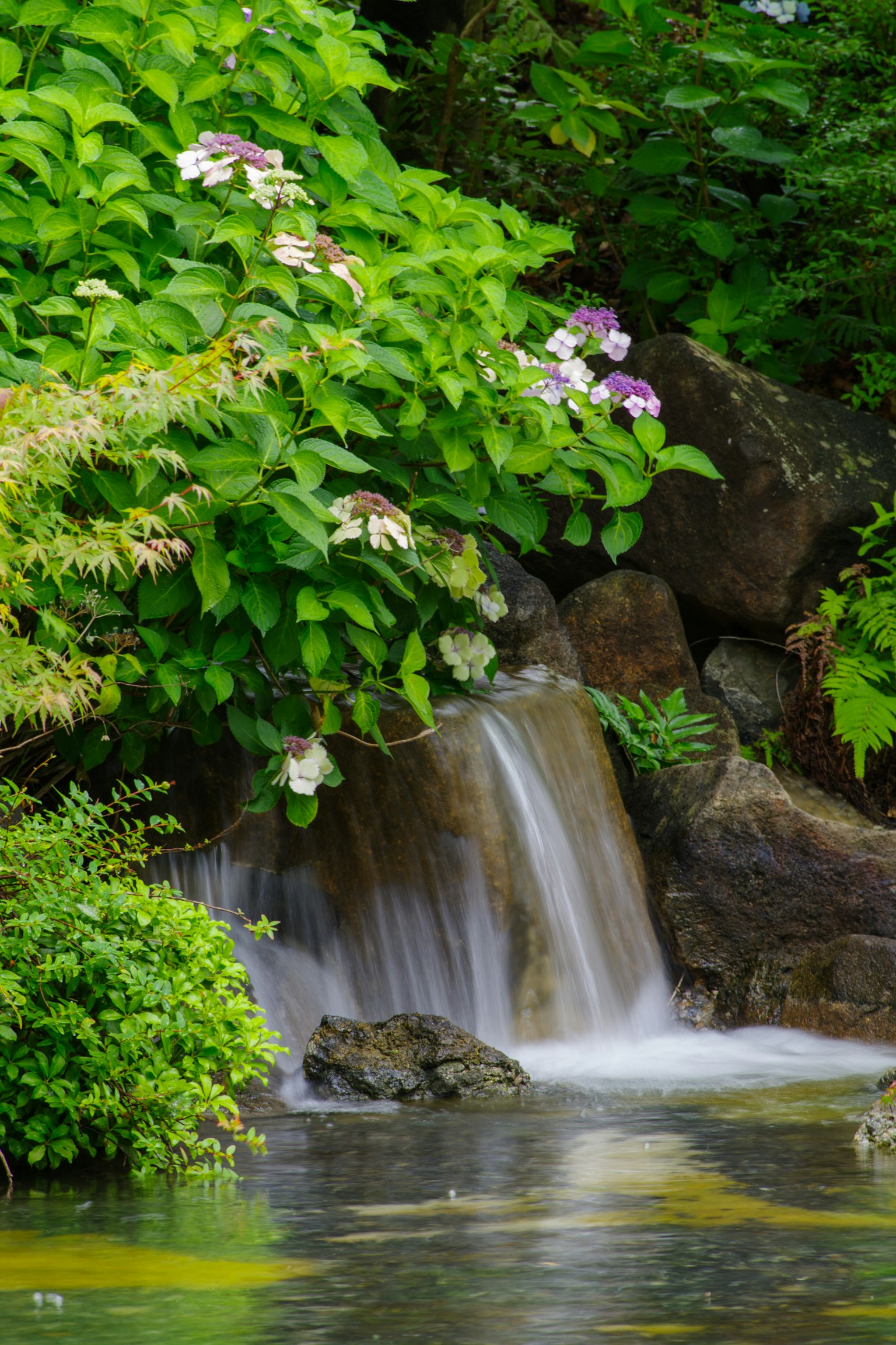 Pemandangan tenang dari air terjun kecil yang mengalir ke kolam dikelilingi oleh tanaman hijau subur dan bunga