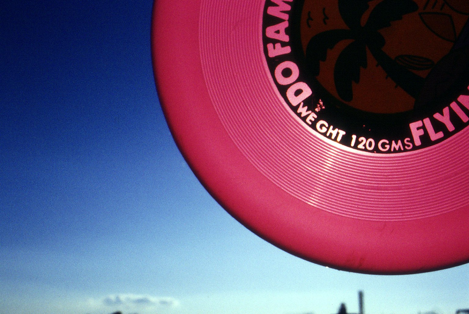 Pink frisbee against a blue sky with black logo