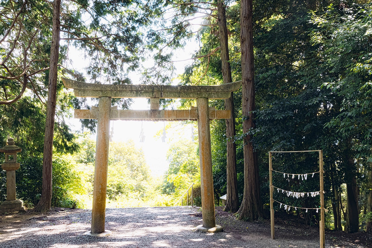 逆光の鳥居と木々に囲まれた参道の入口