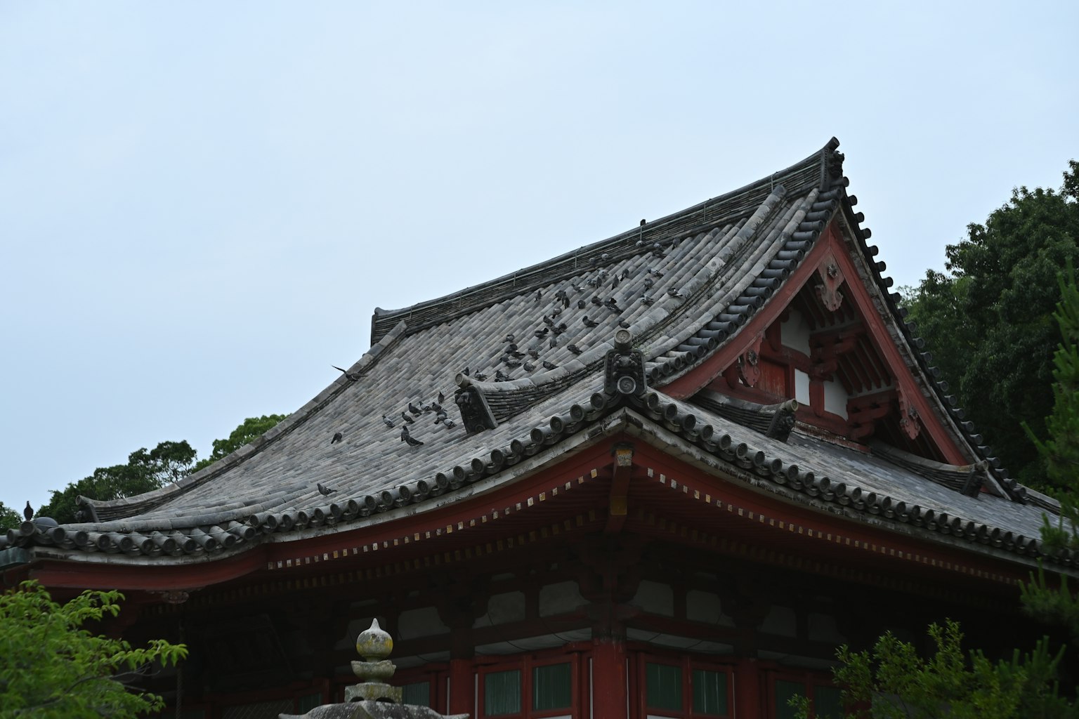 美丽日本寺庙屋顶的详细视图，传统建筑风格，灰色瓦片和红色墙壁