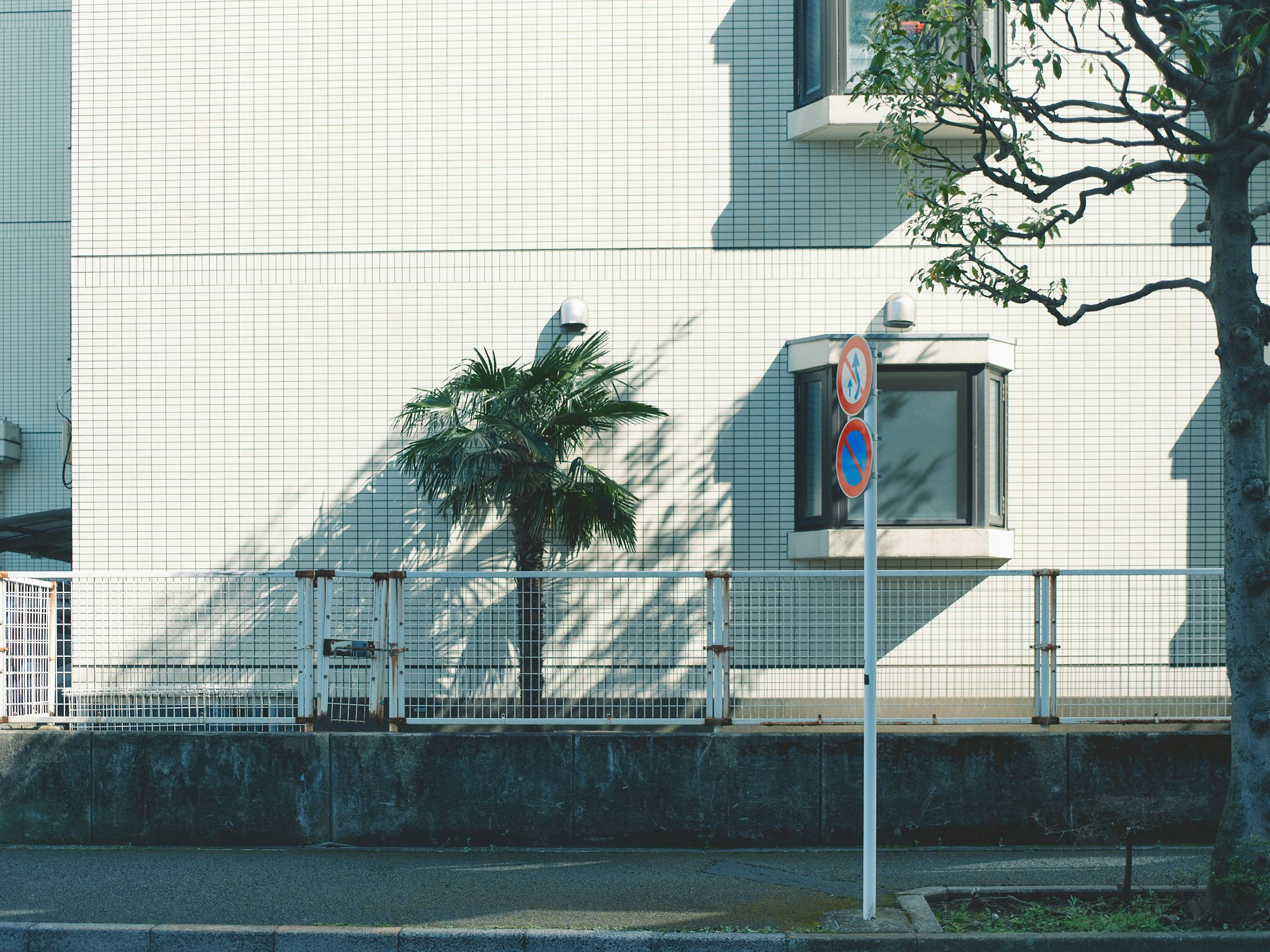 alley scene with a white building facade, fence, and street tree