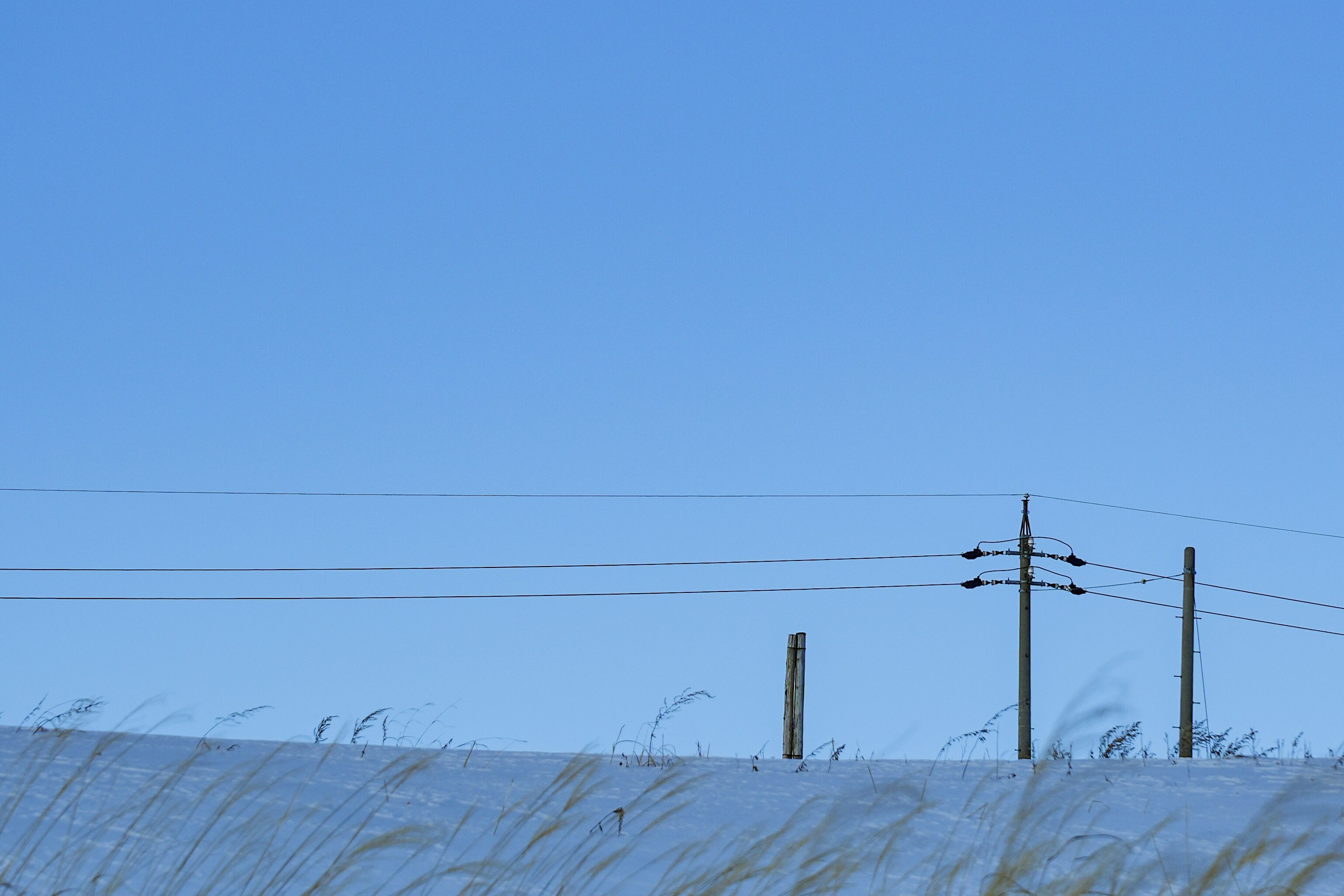 Landscape of power lines and utility poles beyond tall grass