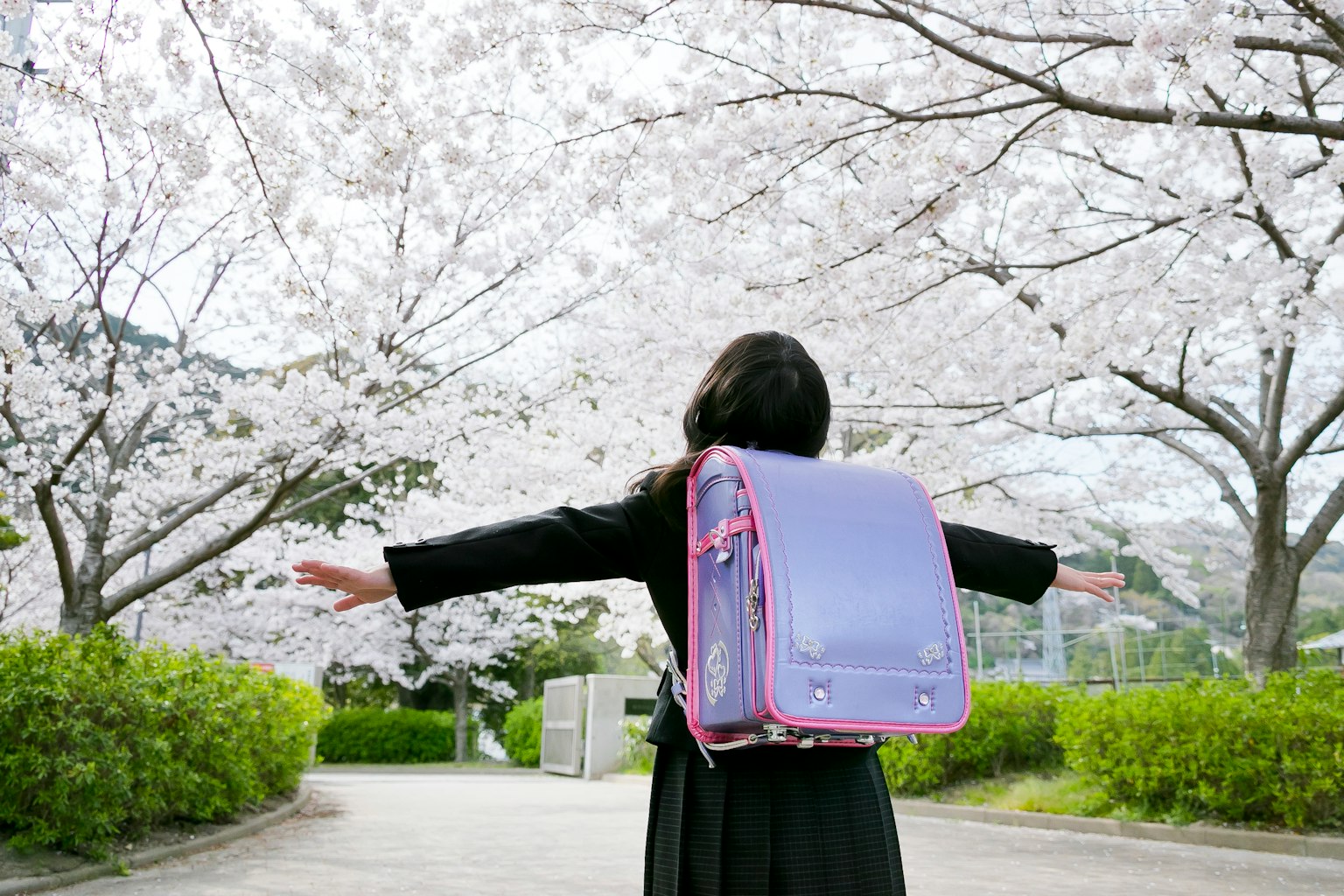 Girl standing under cherry blossom trees with arms open wearing a purple backpack
