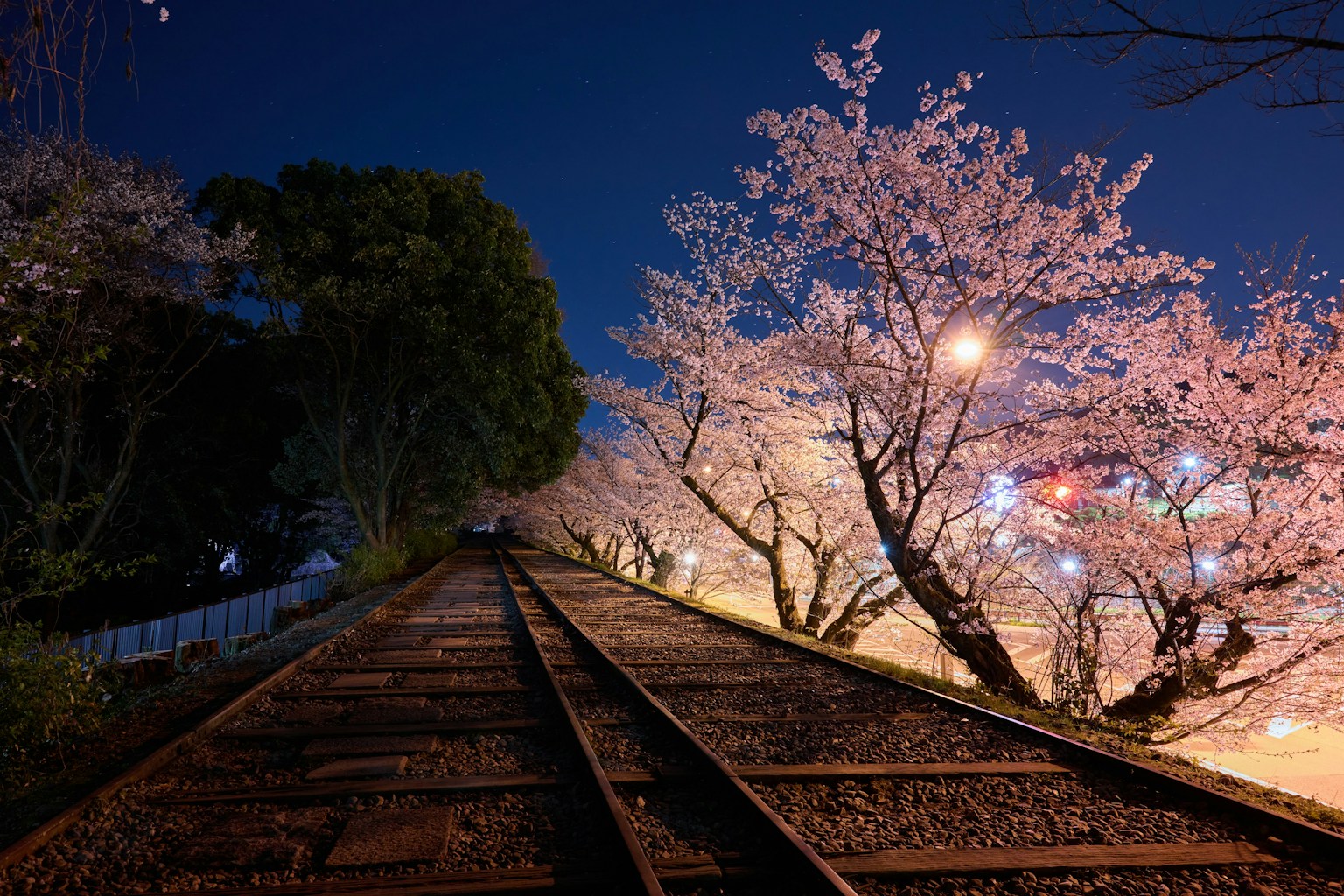 photo-eFYaTDAXDNhhg6wWMq2X-image
