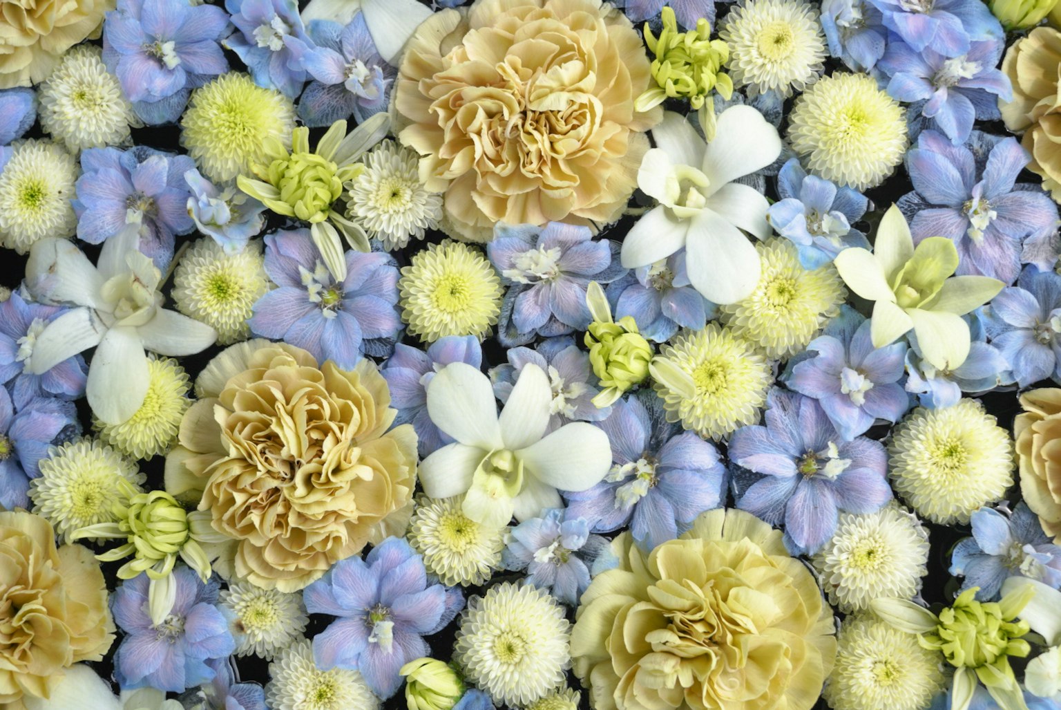青と白の花が混ざった美しい花のアレンジメント