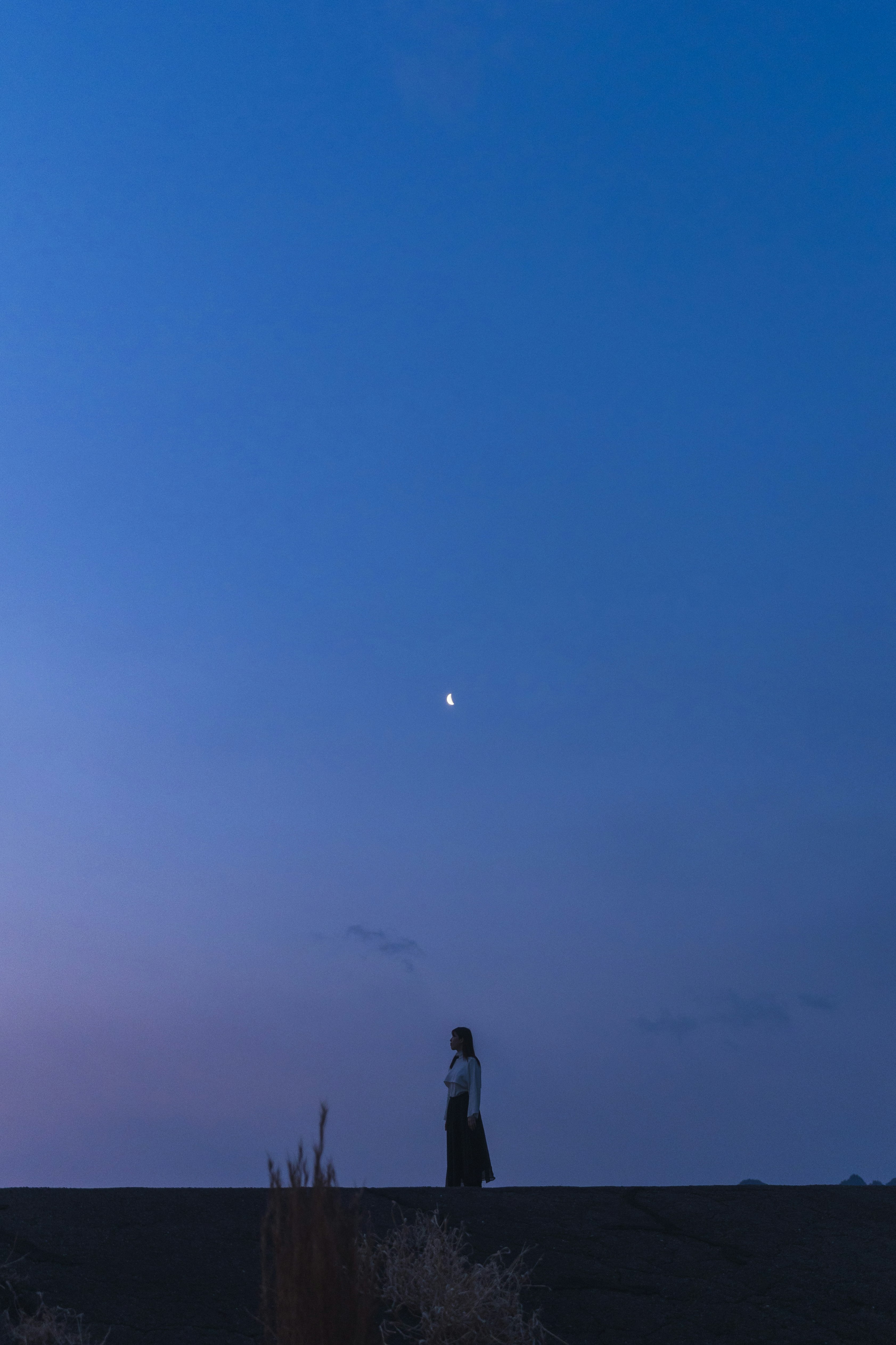 青い空の下で海辺の堤防に立つ人物