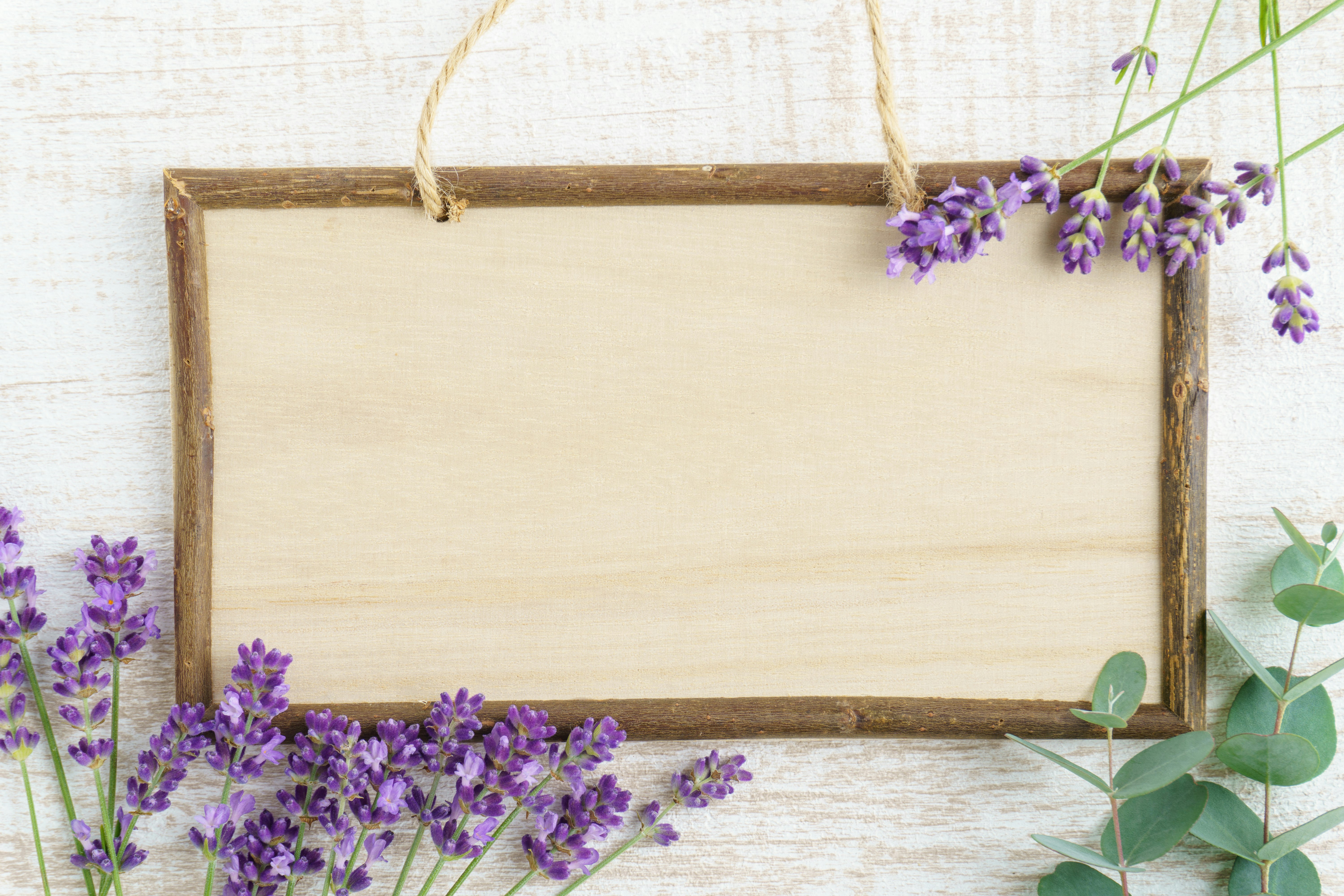Fiori di lavanda con una cornice in legno