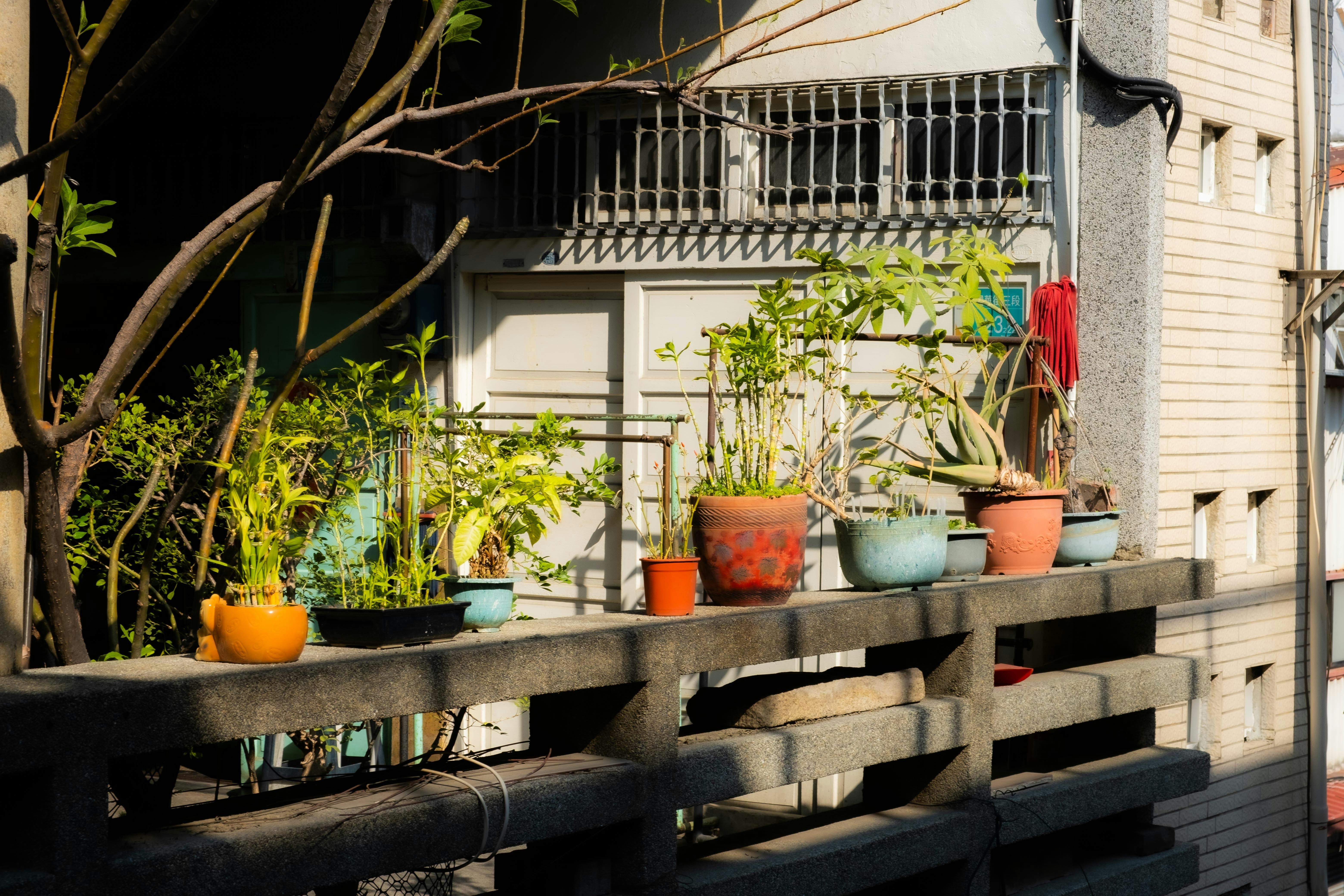 piante in vaso allineate sul passaggio del secondo piano del mercato Yongle a Tainan