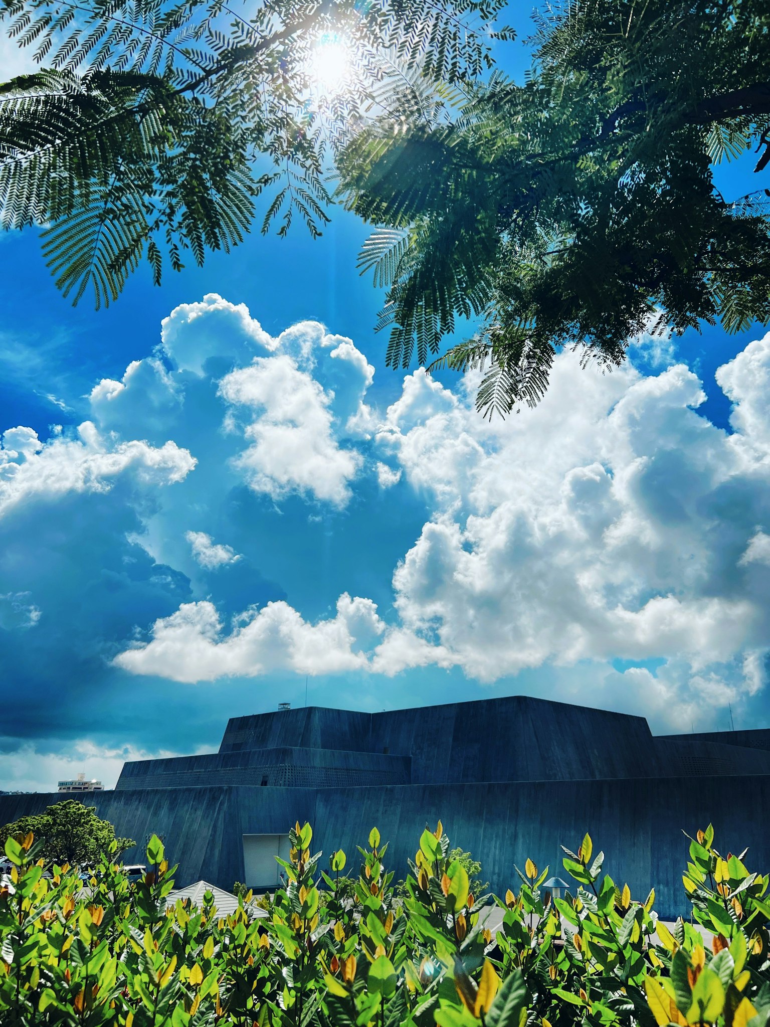 Paysage avec des nuages blancs sous un ciel bleu et un feuillage vert