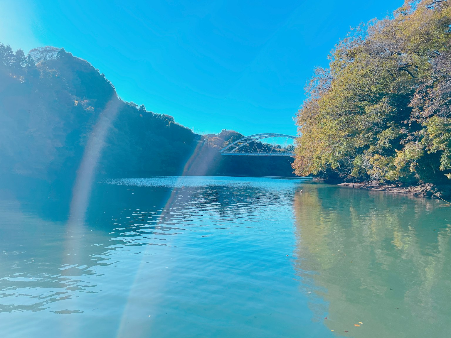 Scenic view of a blue lake surrounded by lush green trees