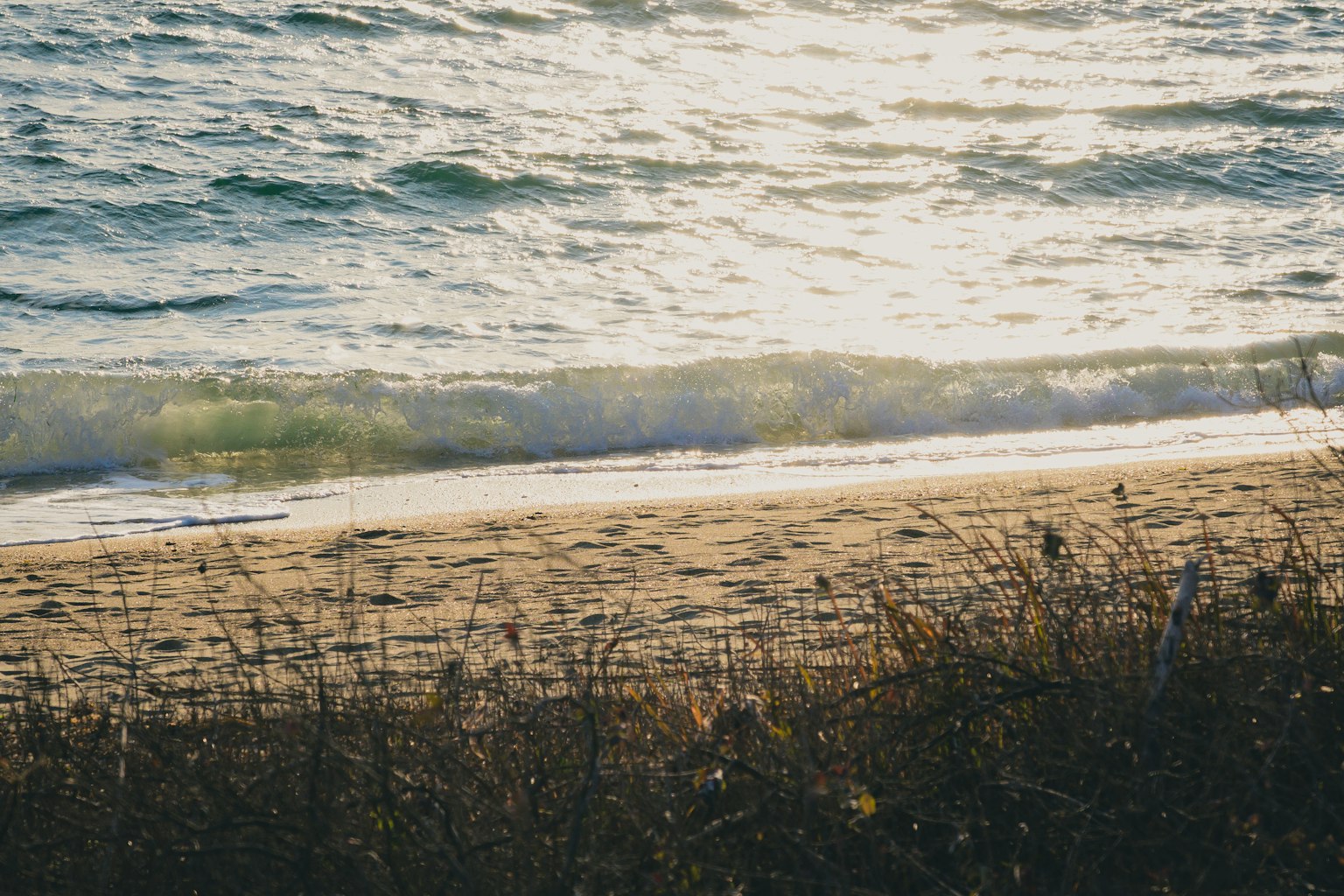 ์์ํ ๋ฐ๋ค์ ๋ชจ๋ ํด๋ณ ์ฅ๋ฉด ๋ถ๋๋ฌ์ด ํ๋