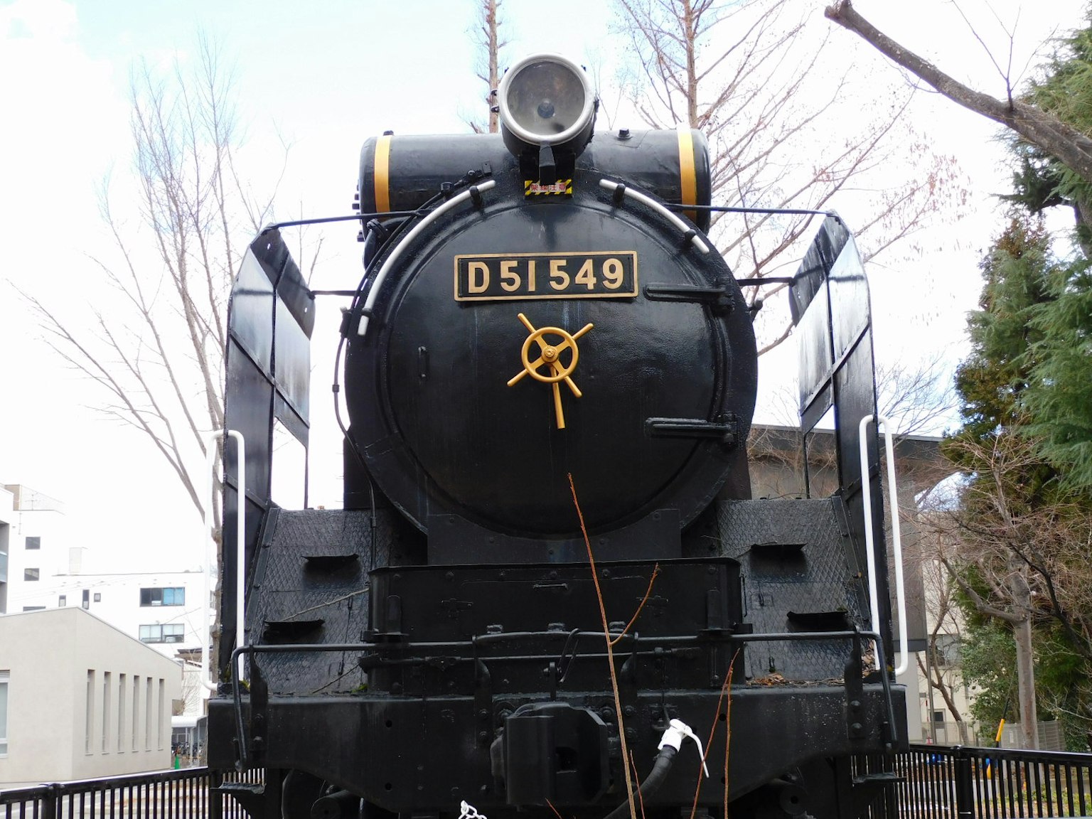 Vista frontale della locomotiva a vapore nera D51549 circondata da alberi