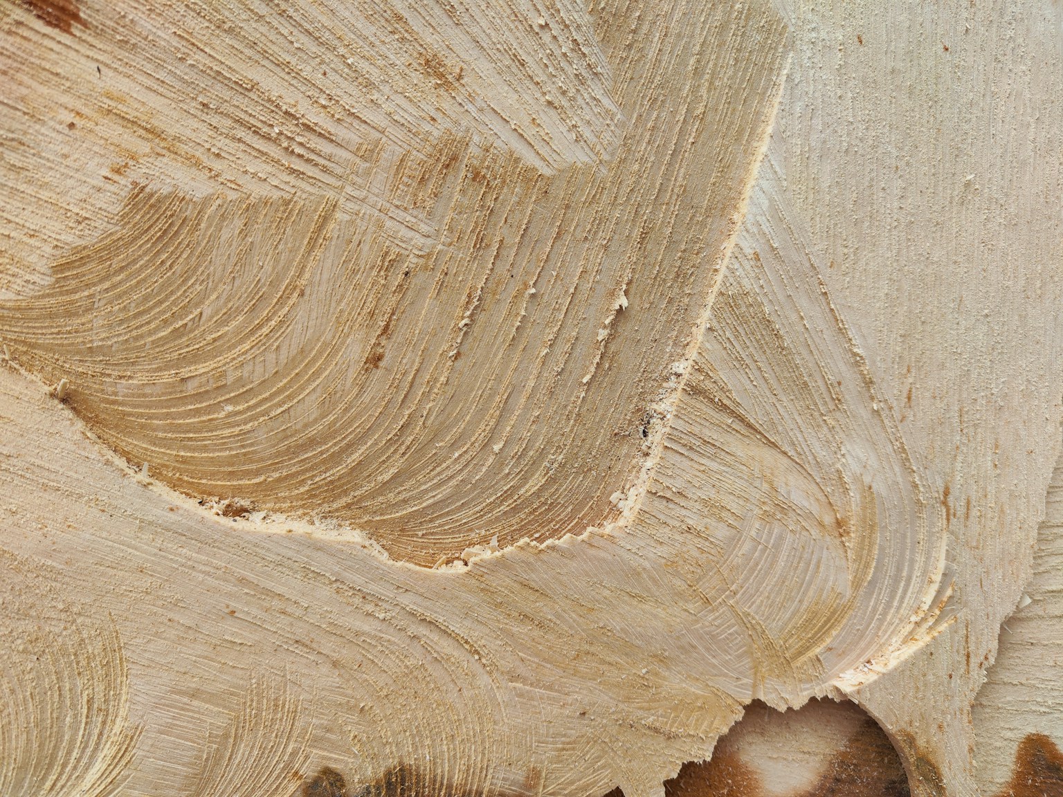 Texture lisse et motifs uniques sur la surface du bois