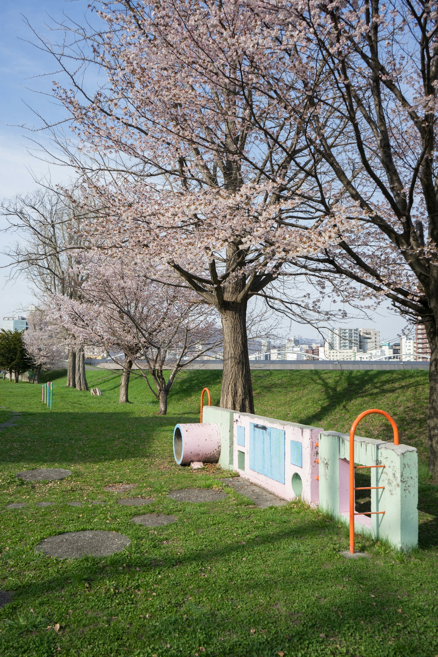 Peralatan bermain dan pohon sakura di taman dengan rumput hijau