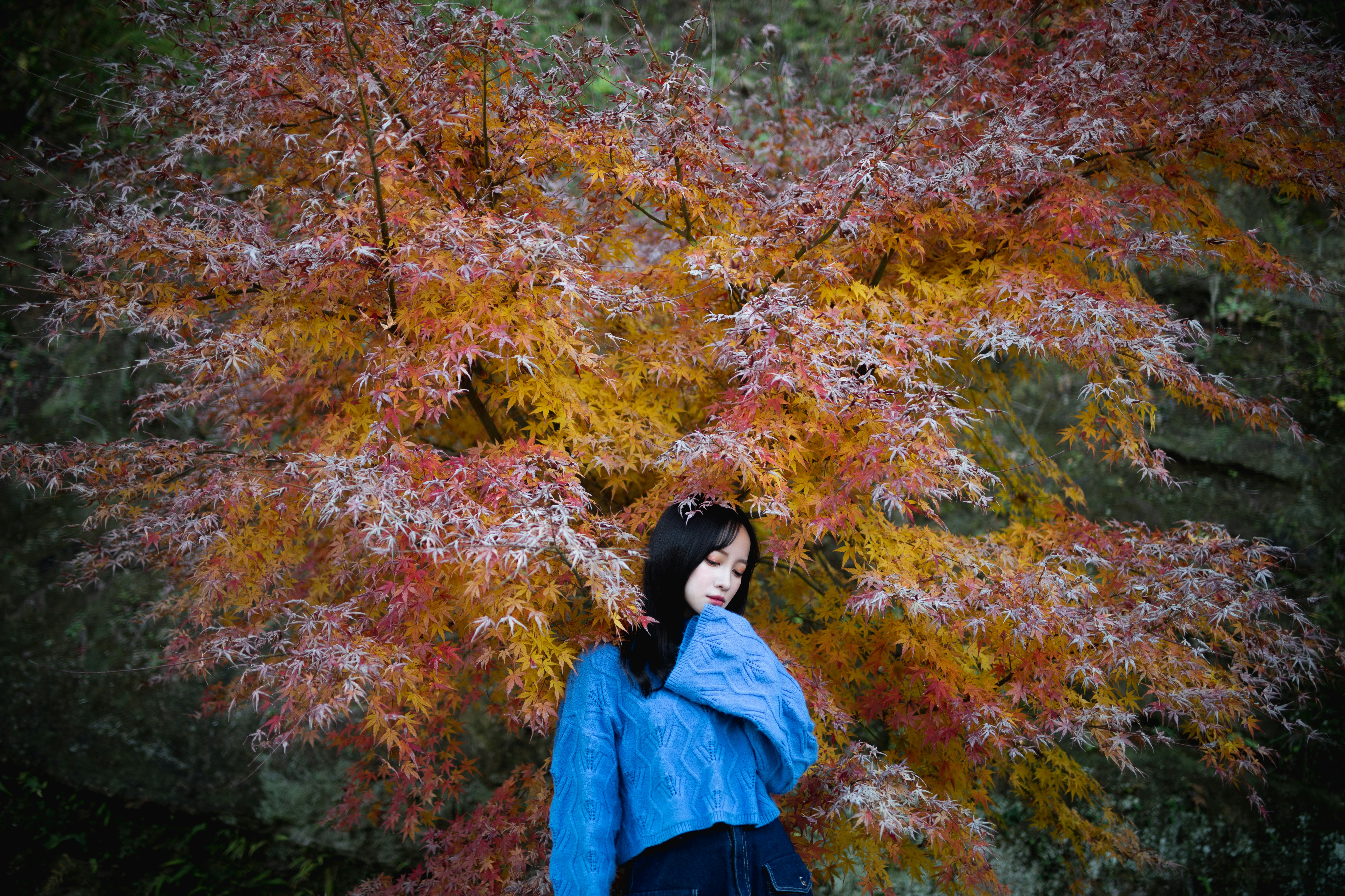 秋の紅葉の前に立つ女性 青い服を着ている 背景には赤やオレンジの葉が広がる