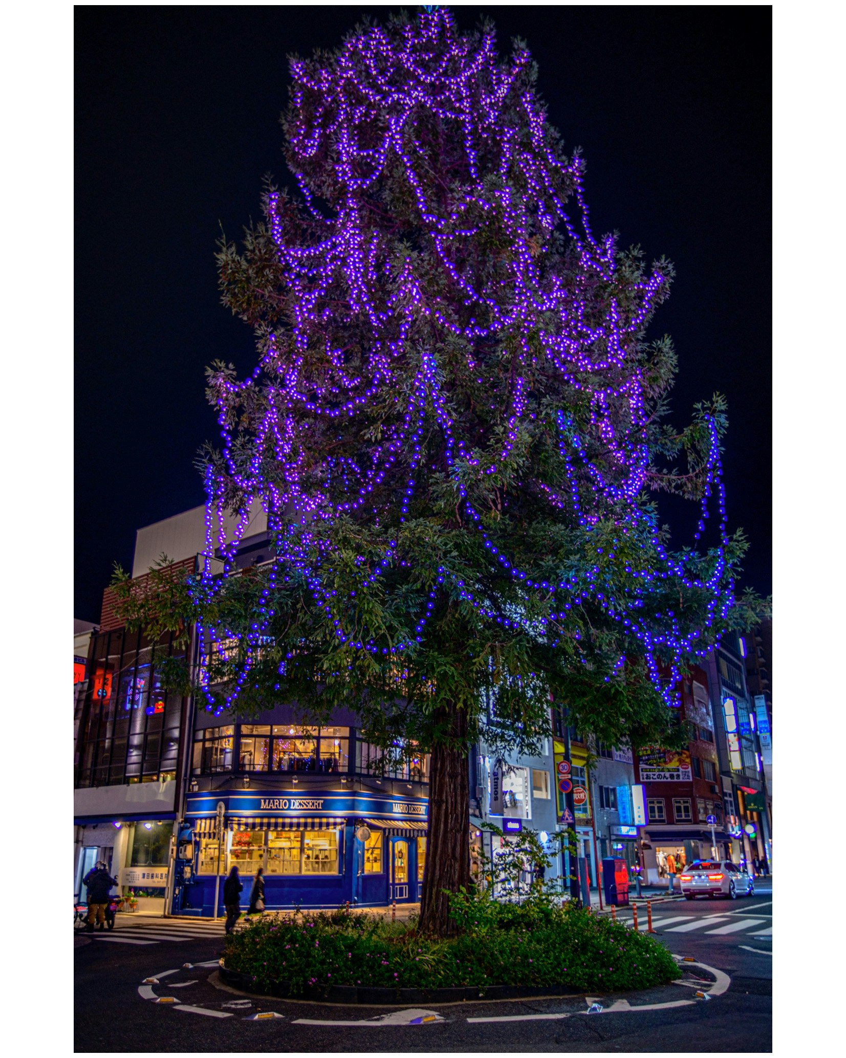 night street corner with illuminated trees and buildings at an intersection