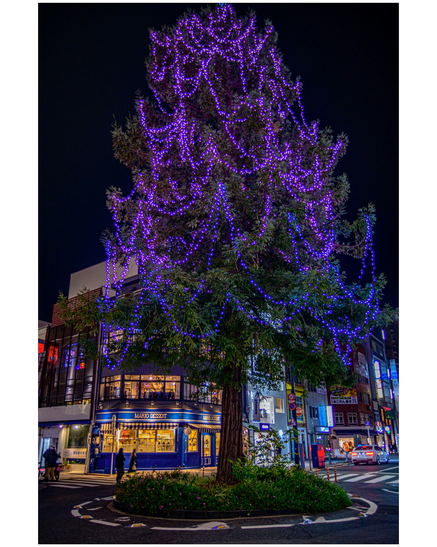 Un albero decorato con luci viola che brillano nella città di notte