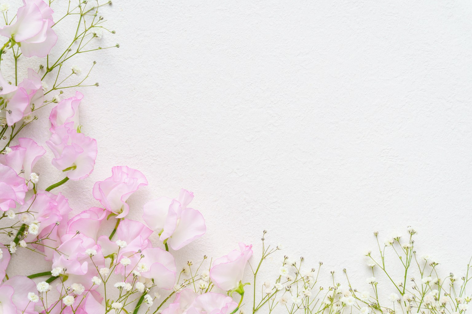 Fiori rosa delicati e piccoli fiori bianchi disposti su uno sfondo chiaro