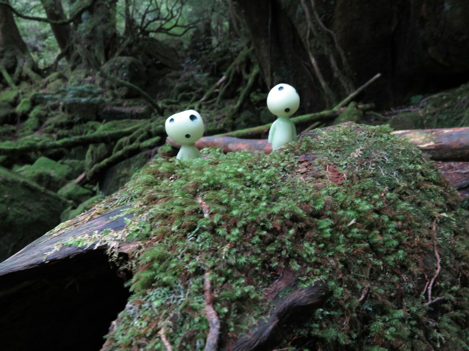 Waldszene mit zwei Figuren auf grünem Moos