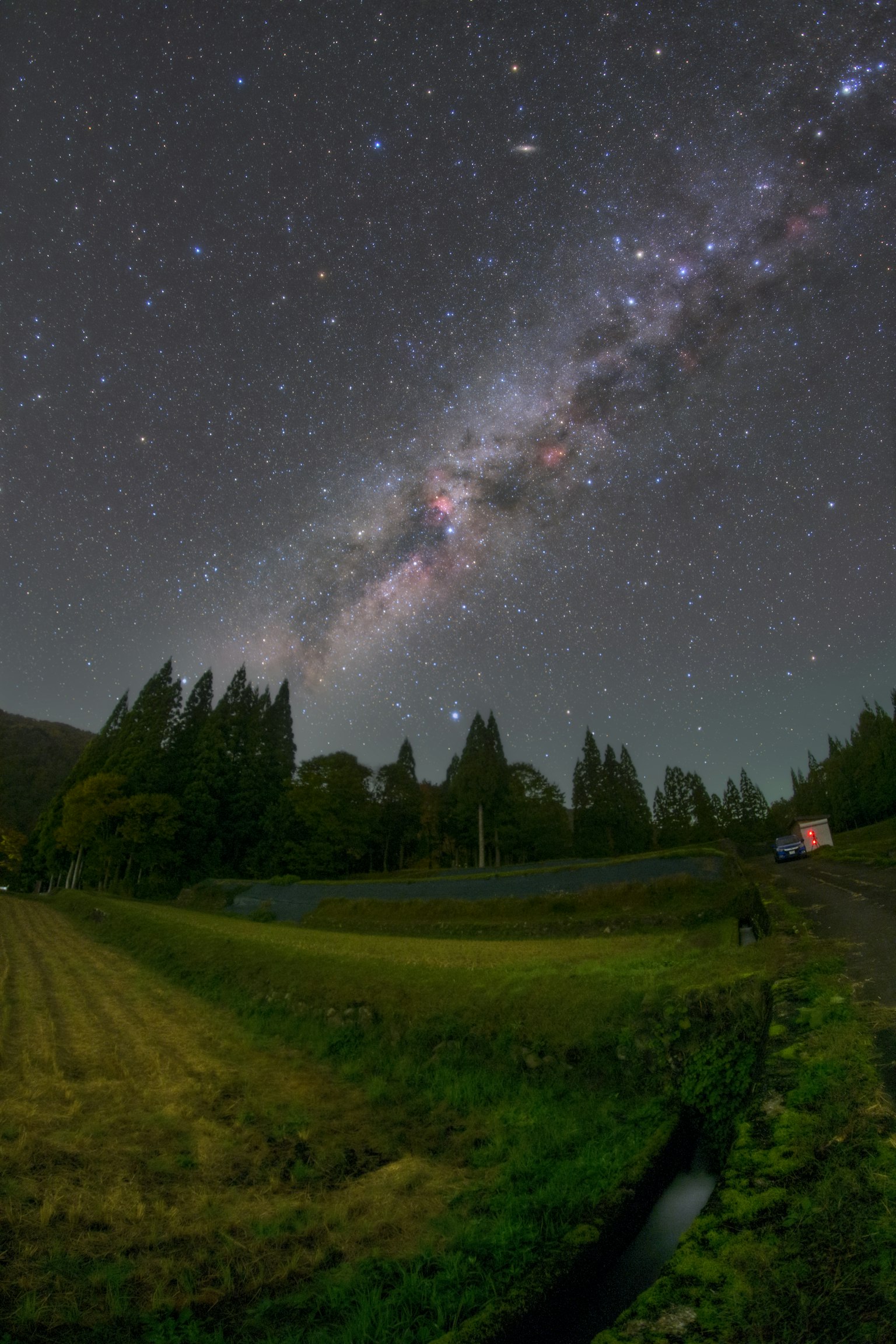 Via Lattea sopra un paesaggio verde con alberi e campi
