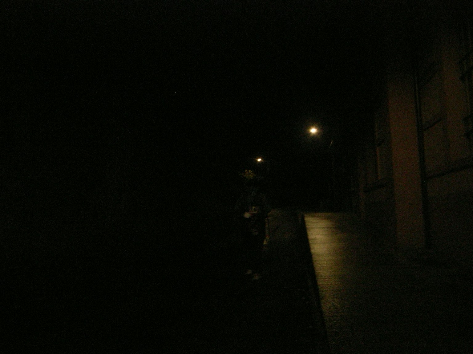 Strada buia con lampioni e pavimentazione bagnata