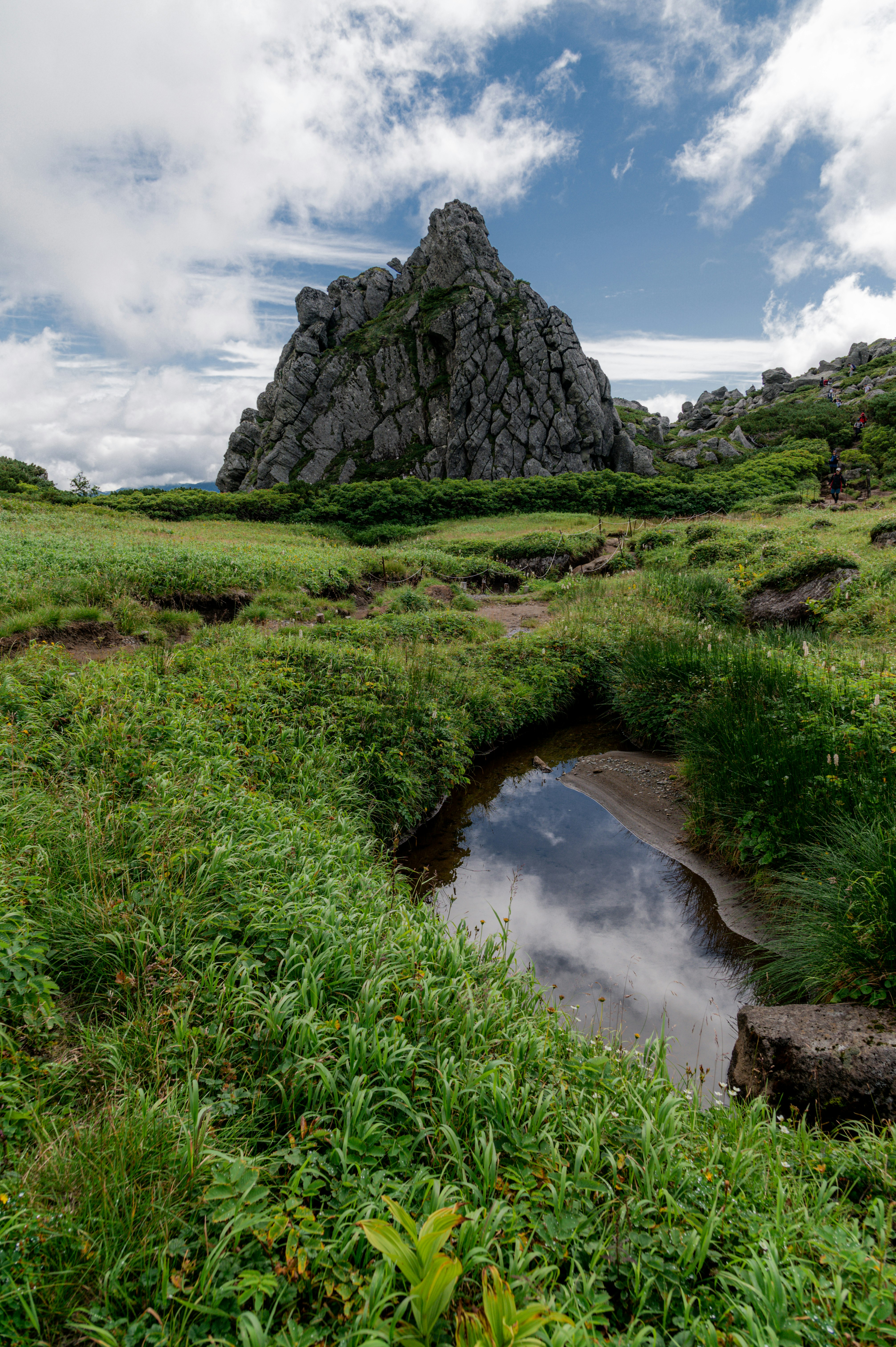 草地と小川のある緑の自然の中にそびえる岩山