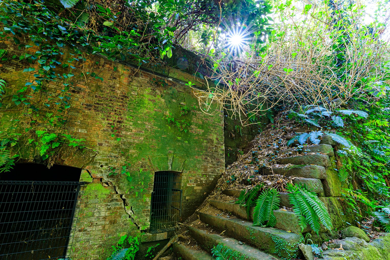 Un paisaje con un viejo muro cubierto de vegetación y una escalera