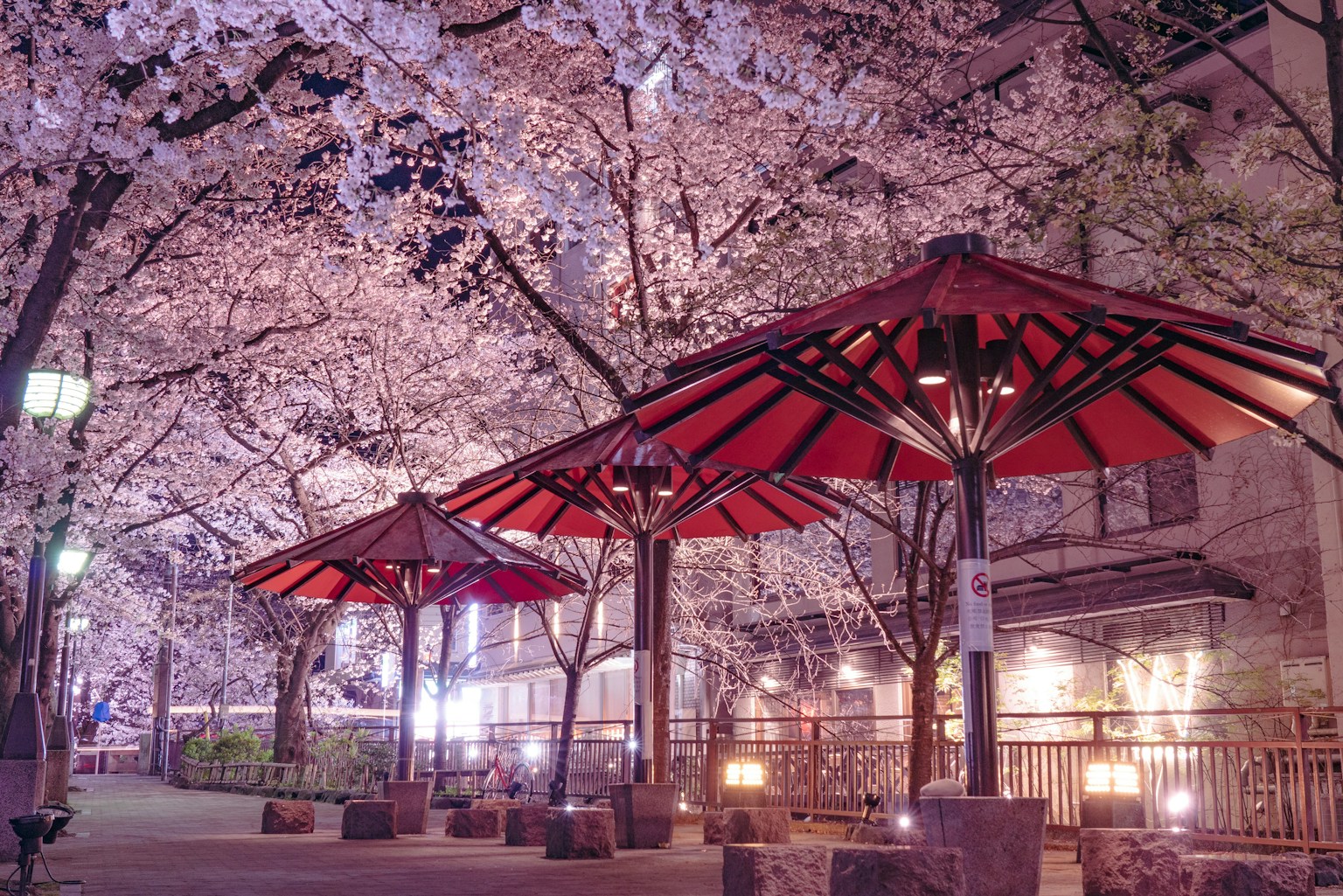 Red-roofed pavilions under cherry blossom trees at night